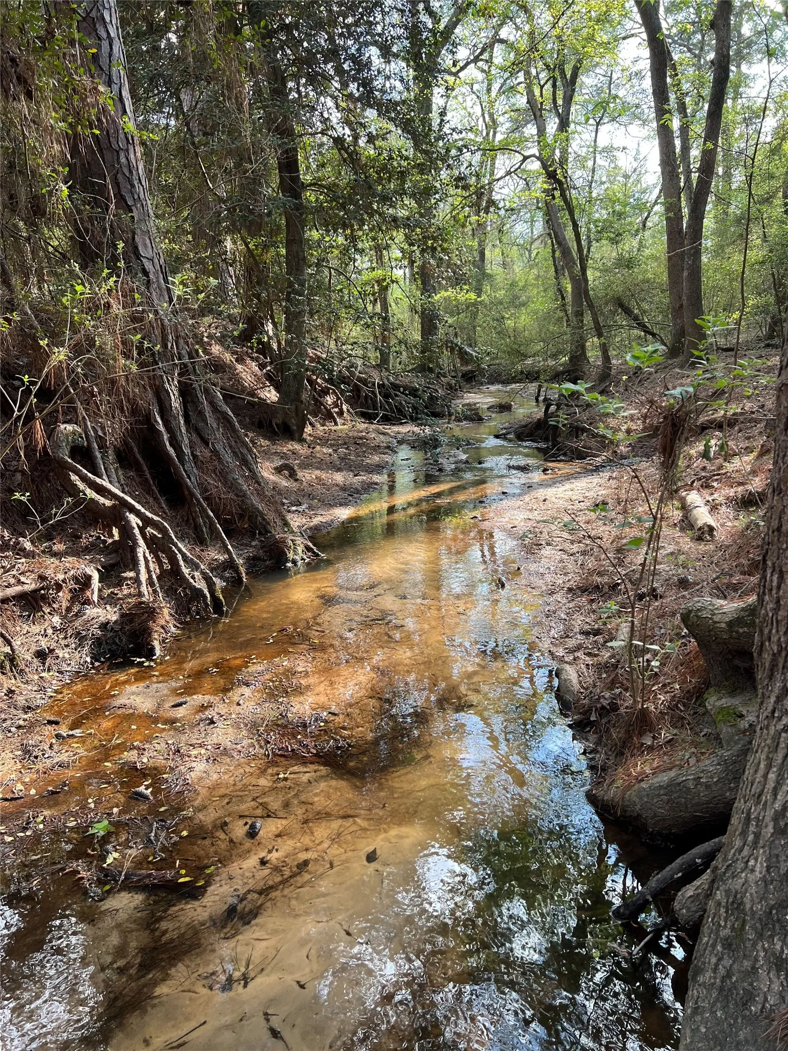 Farm For Sale in Houston County , 689 & 691 FM 1272, Grapeland, Texas 75844, 4 Bedroom, 4 Bathroom, 2 Garage spaces, 3,489 Sqft, built in 1997, Preowned, mls#21226943, Real Estate Agent in Grapeland, Homes For Sale in Houston county, Homes For Sale in Grapeland, Realtor in Grapeland Texas, Real Estate Brokerage Independent Realty Texas, Luminita Cordes Realtor