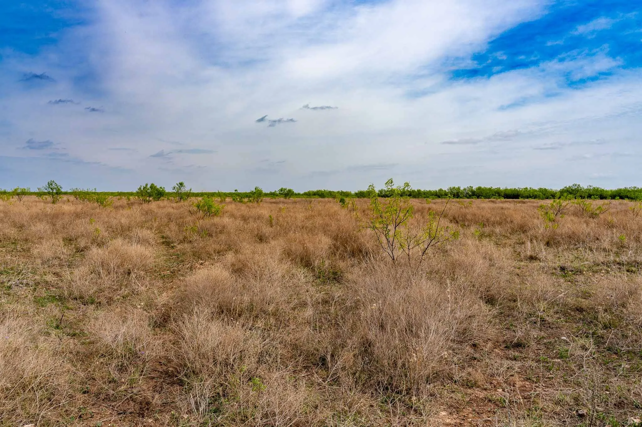 Unimproved Land For Sale in Haskell County , TBD Rockdale Road, No City, Texas 79533, 0, 0, Garage spaces, 0 Sqft, built in 2018, Price $2,745,000, mls#21233092, Real Estate Agent in No City, Homes For Sale in Haskell county, Homes For Sale in No City, Realtor in No City Texas, Real Estate Brokerage Independent Realty Texas, Luminita Cordes Realtor