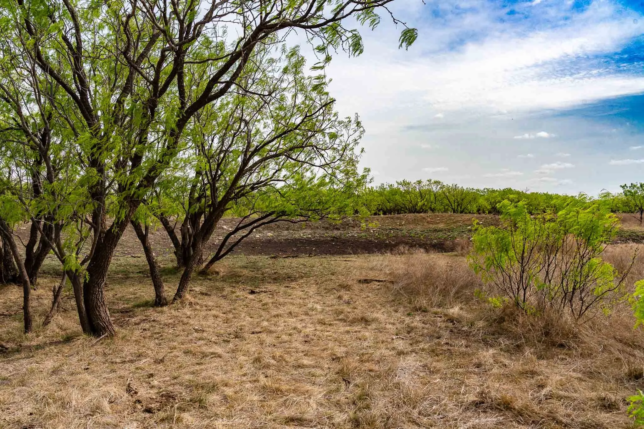 Unimproved Land For Sale in Haskell County , TBD Rockdale Road, No City, Texas 79533, 0, 0, Garage spaces, 0 Sqft, built in 2018, Price $2,745,000, mls#21233092, Real Estate Agent in No City, Homes For Sale in Haskell county, Homes For Sale in No City, Realtor in No City Texas, Real Estate Brokerage Independent Realty Texas, Luminita Cordes Realtor