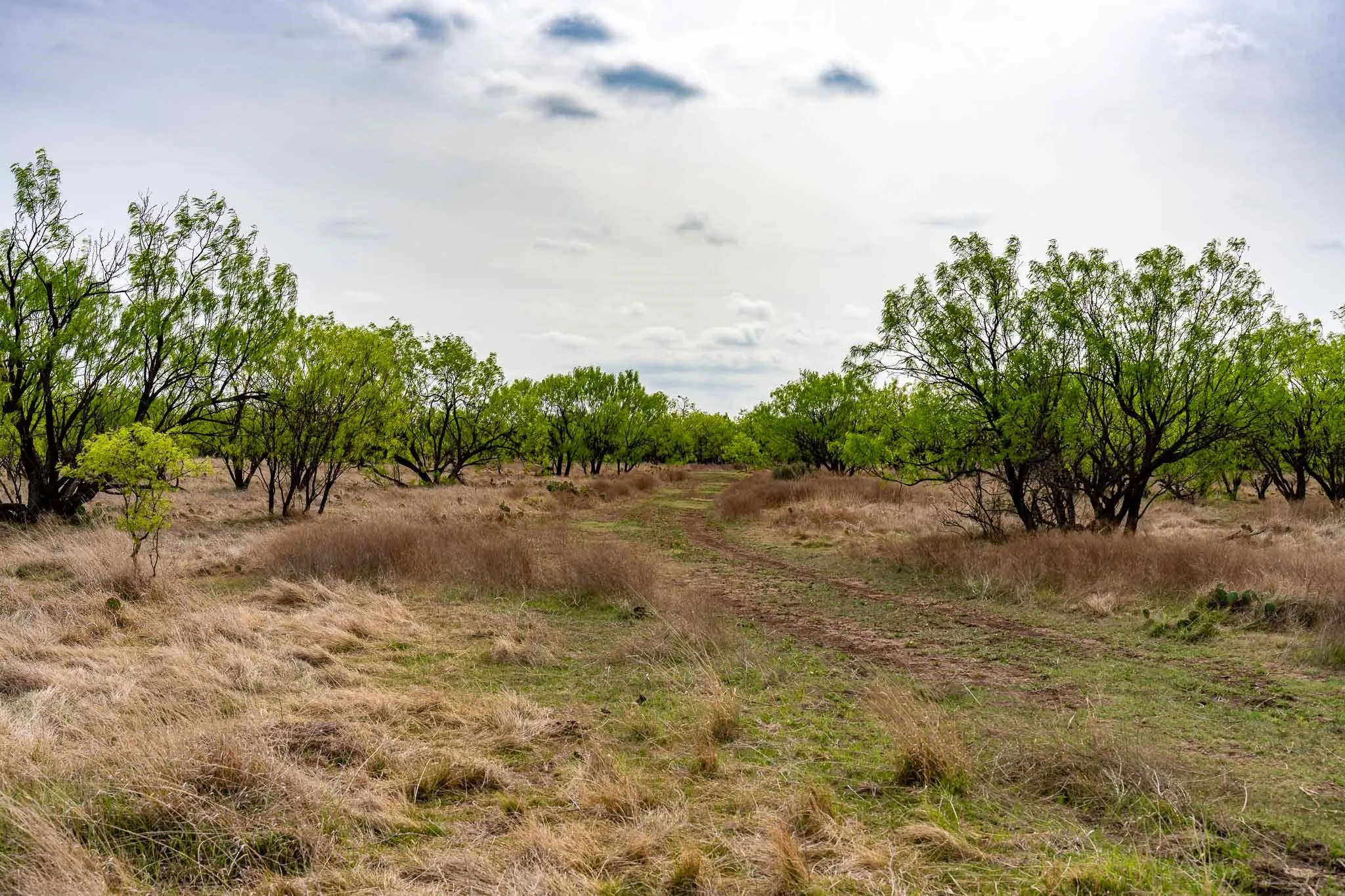 Unimproved Land For Sale in Haskell County , TBD Rockdale Road, No City, Texas 79533, 0, 0, Garage spaces, 0 Sqft, built in 2018, Price $2,745,000, mls#21233092, Real Estate Agent in No City, Homes For Sale in Haskell county, Homes For Sale in No City, Realtor in No City Texas, Real Estate Brokerage Independent Realty Texas, Luminita Cordes Realtor