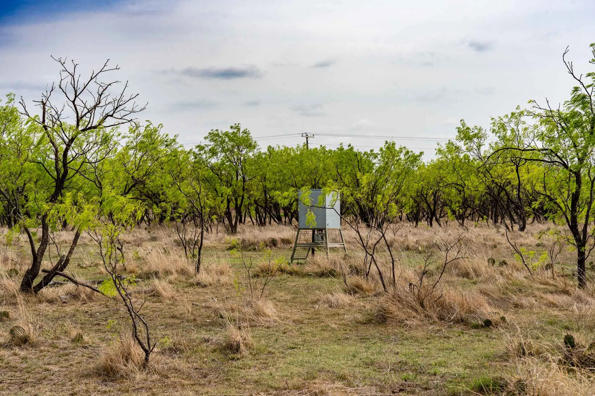 Unimproved Land For Sale in Haskell County , TBD Rockdale Road, No City, Texas 79533, 0, 0, Garage spaces, 0 Sqft, built in 2018, Price $2,745,000, mls#21233092, Real Estate Agent in No City, Homes For Sale in Haskell county, Homes For Sale in No City, Realtor in No City Texas, Real Estate Brokerage Independent Realty Texas, Luminita Cordes Realtor