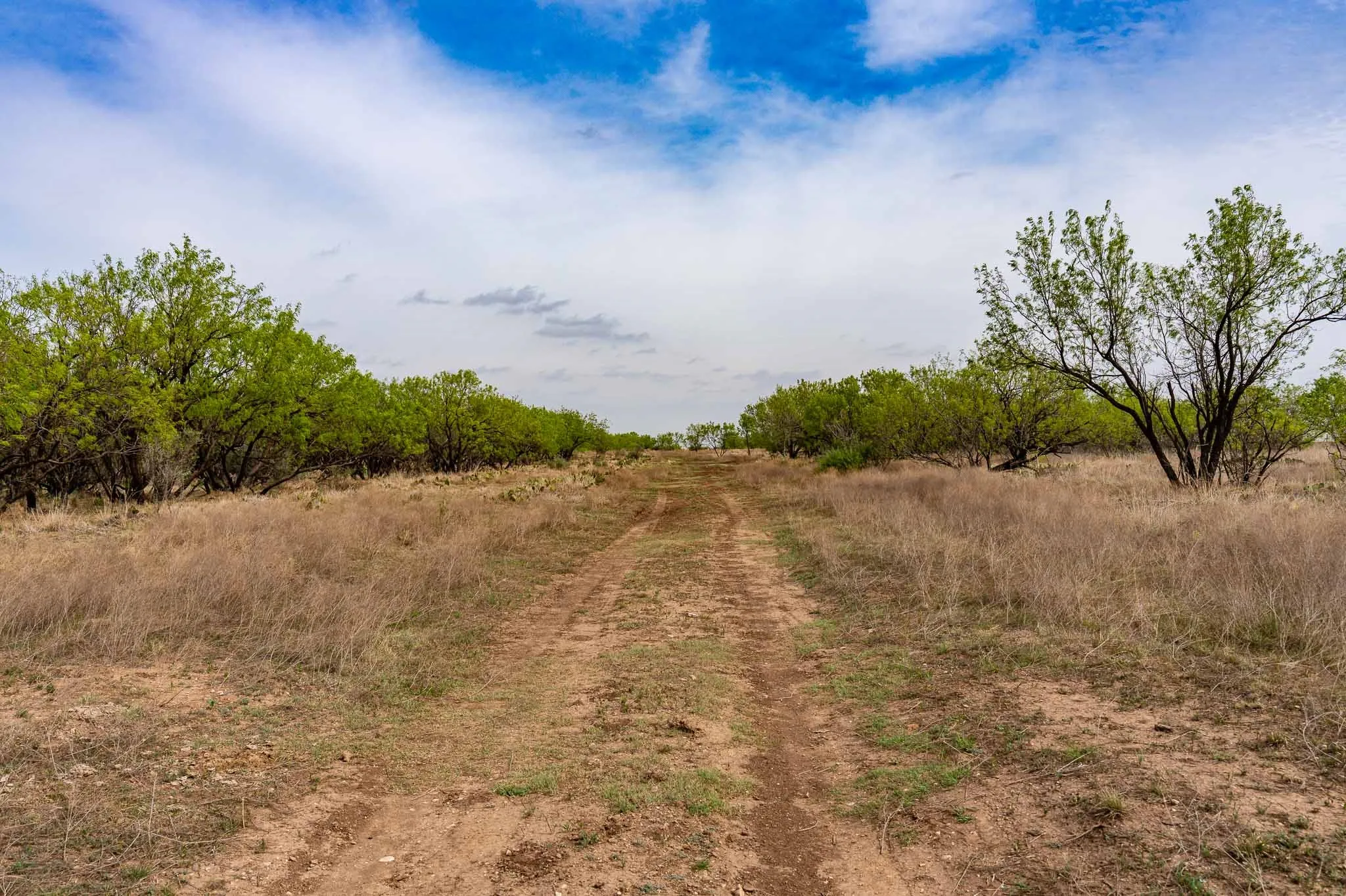 Unimproved Land For Sale in Haskell County , TBD Rockdale Road, No City, Texas 79533, 0, 0, Garage spaces, 0 Sqft, built in 2018, Price $2,745,000, mls#21233092, Real Estate Agent in No City, Homes For Sale in Haskell county, Homes For Sale in No City, Realtor in No City Texas, Real Estate Brokerage Independent Realty Texas, Luminita Cordes Realtor