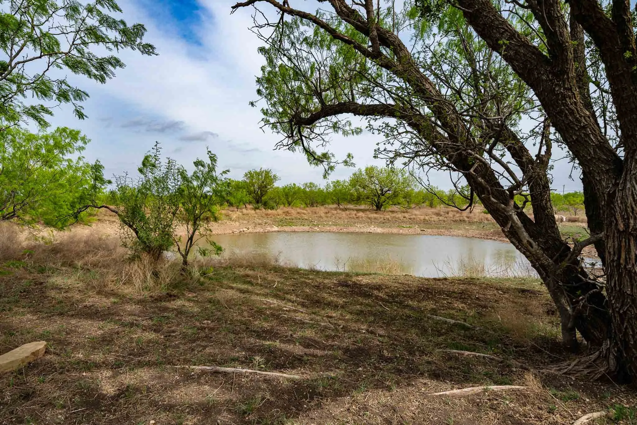 Unimproved Land For Sale in Haskell County , TBD Rockdale Road, No City, Texas 79533, 0, 0, Garage spaces, 0 Sqft, built in 2018, Price $2,745,000, mls#21233092, Real Estate Agent in No City, Homes For Sale in Haskell county, Homes For Sale in No City, Realtor in No City Texas, Real Estate Brokerage Independent Realty Texas, Luminita Cordes Realtor