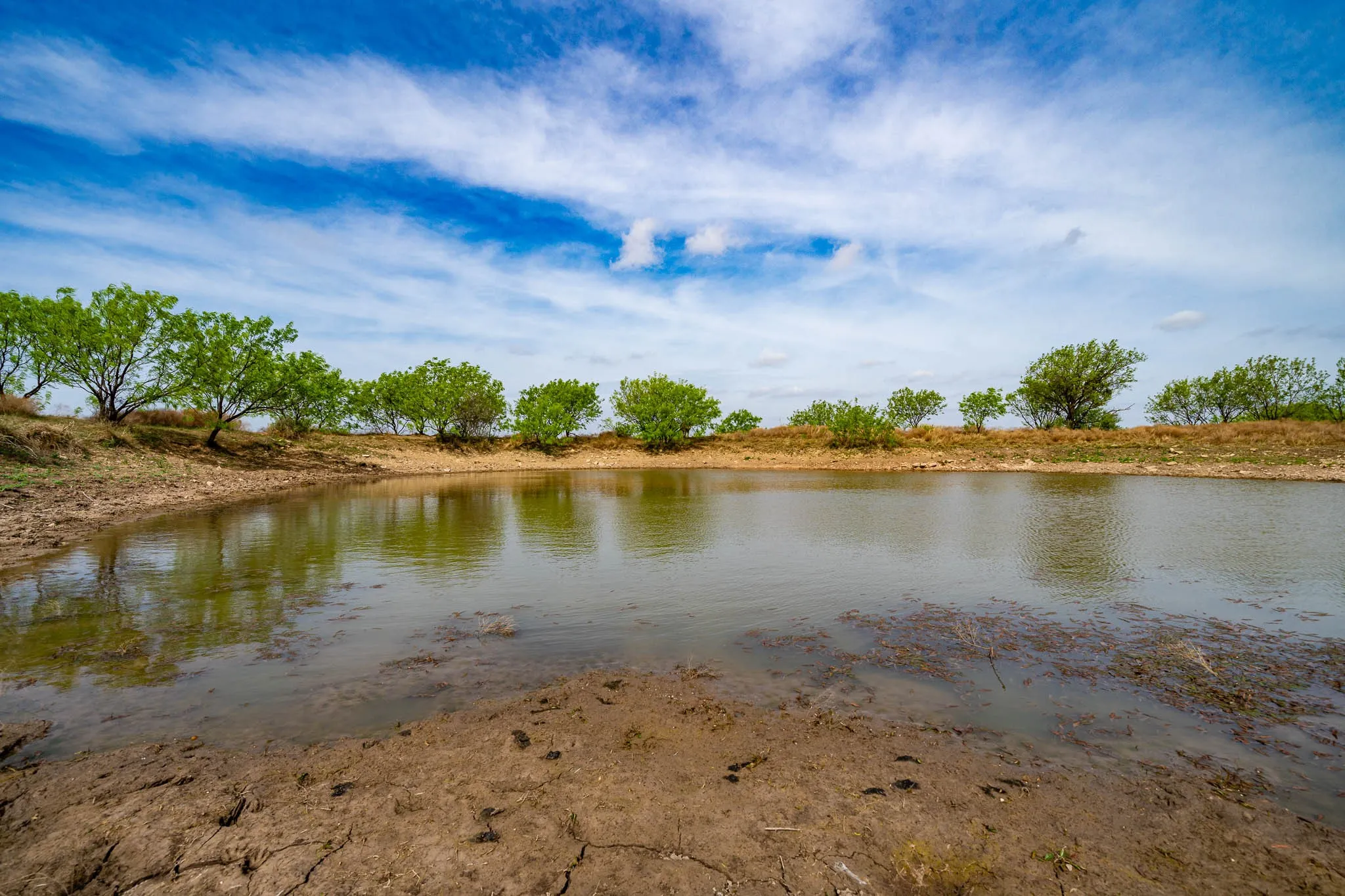 Unimproved Land For Sale in Haskell County , TBD Rockdale Road, No City, Texas 79533, 0, 0, Garage spaces, 0 Sqft, built in 2018, Price $2,745,000, mls#21233092, Real Estate Agent in No City, Homes For Sale in Haskell county, Homes For Sale in No City, Realtor in No City Texas, Real Estate Brokerage Independent Realty Texas, Luminita Cordes Realtor