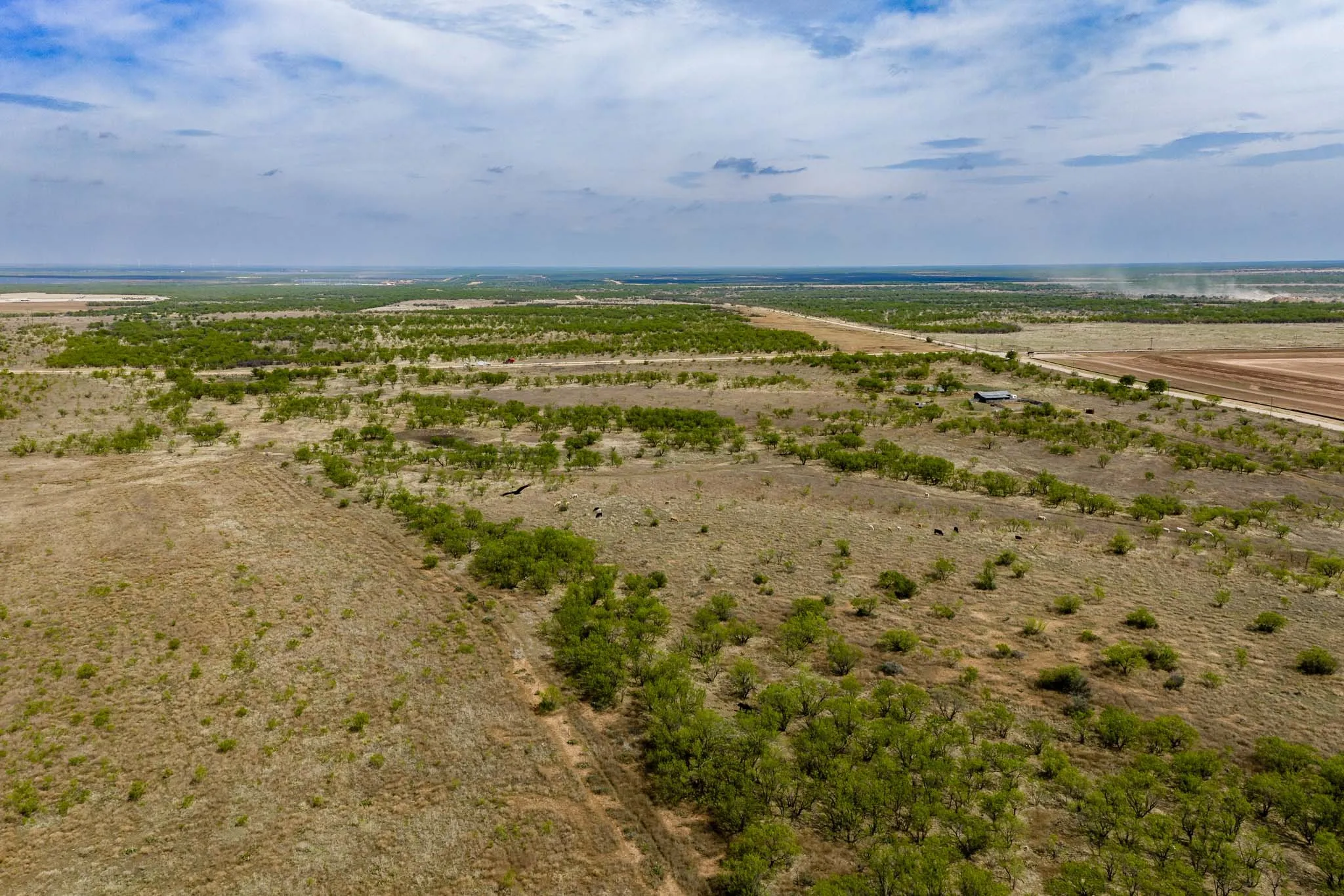 Unimproved Land For Sale in Haskell County , TBD Rockdale Road, No City, Texas 79533, 0, 0, Garage spaces, 0 Sqft, built in 2018, Price $2,745,000, mls#21233092, Real Estate Agent in No City, Homes For Sale in Haskell county, Homes For Sale in No City, Realtor in No City Texas, Real Estate Brokerage Independent Realty Texas, Luminita Cordes Realtor