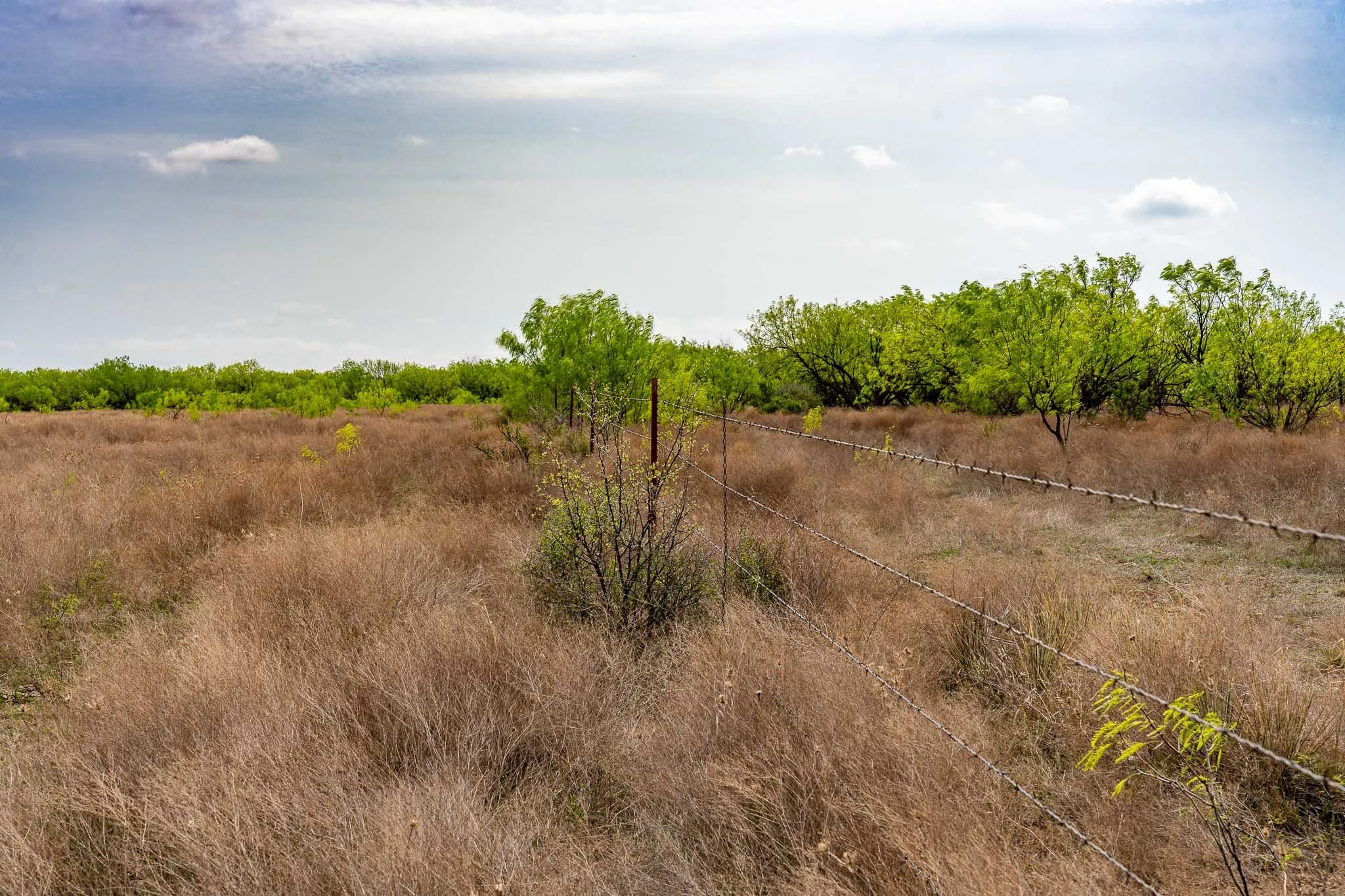 Unimproved Land For Sale in Haskell County , TBD Rockdale Road, No City, Texas 79533, 0, 0, Garage spaces, 0 Sqft, built in 2018, Price $2,745,000, mls#21233092, Real Estate Agent in No City, Homes For Sale in Haskell county, Homes For Sale in No City, Realtor in No City Texas, Real Estate Brokerage Independent Realty Texas, Luminita Cordes Realtor