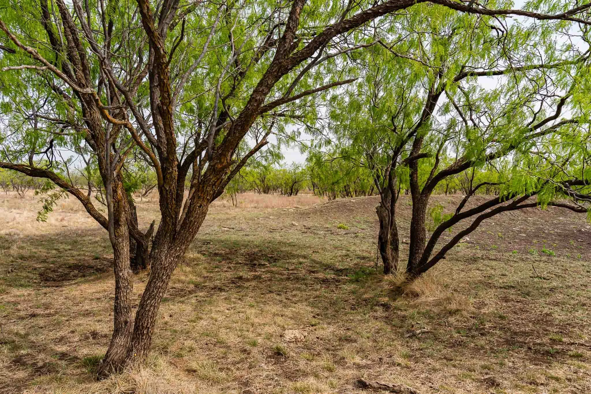 Unimproved Land For Sale in Haskell County , TBD Rockdale Road, No City, Texas 79533, 0, 0, Garage spaces, 0 Sqft, built in 2018, Price $2,745,000, mls#21233092, Real Estate Agent in No City, Homes For Sale in Haskell county, Homes For Sale in No City, Realtor in No City Texas, Real Estate Brokerage Independent Realty Texas, Luminita Cordes Realtor
