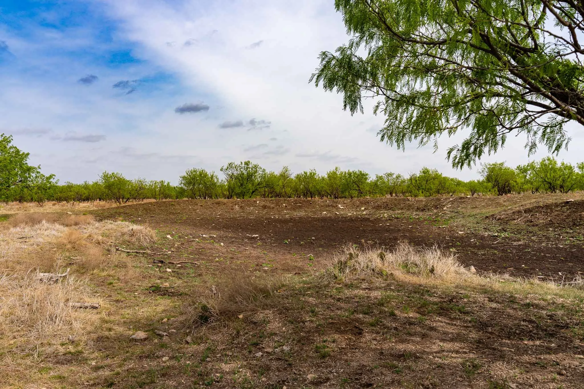 Unimproved Land For Sale in Haskell County , TBD Rockdale Road, No City, Texas 79533, 0, 0, Garage spaces, 0 Sqft, built in 2018, Price $2,745,000, mls#21233092, Real Estate Agent in No City, Homes For Sale in Haskell county, Homes For Sale in No City, Realtor in No City Texas, Real Estate Brokerage Independent Realty Texas, Luminita Cordes Realtor