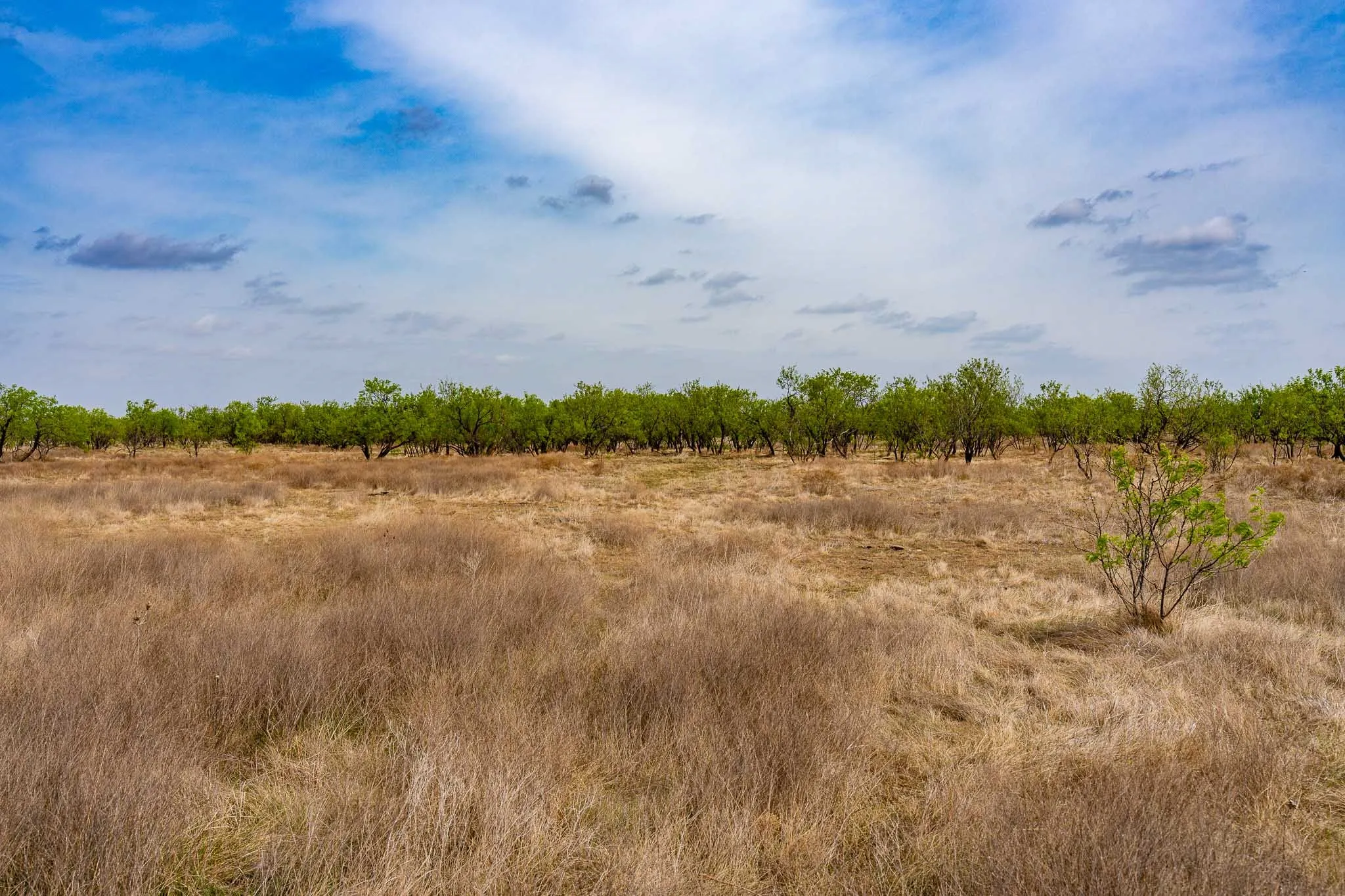 Unimproved Land For Sale in Haskell County , TBD Rockdale Road, No City, Texas 79533, 0, 0, Garage spaces, 0 Sqft, built in 2018, Price $2,745,000, mls#21233092, Real Estate Agent in No City, Homes For Sale in Haskell county, Homes For Sale in No City, Realtor in No City Texas, Real Estate Brokerage Independent Realty Texas, Luminita Cordes Realtor