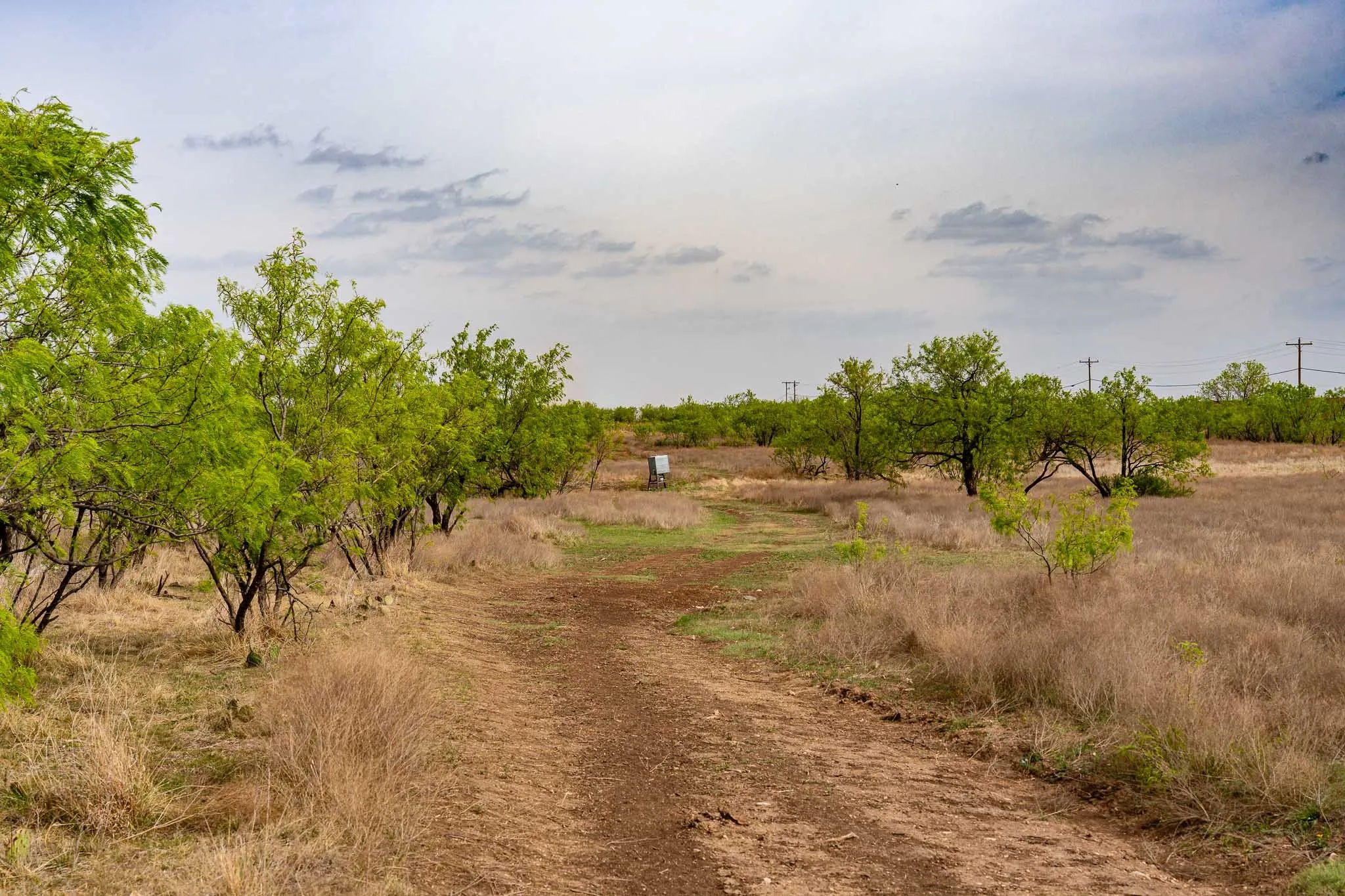 Unimproved Land For Sale in Haskell County , TBD Rockdale Road, No City, Texas 79533, 0, 0, Garage spaces, 0 Sqft, built in 2018, Price $2,745,000, mls#21233092, Real Estate Agent in No City, Homes For Sale in Haskell county, Homes For Sale in No City, Realtor in No City Texas, Real Estate Brokerage Independent Realty Texas, Luminita Cordes Realtor