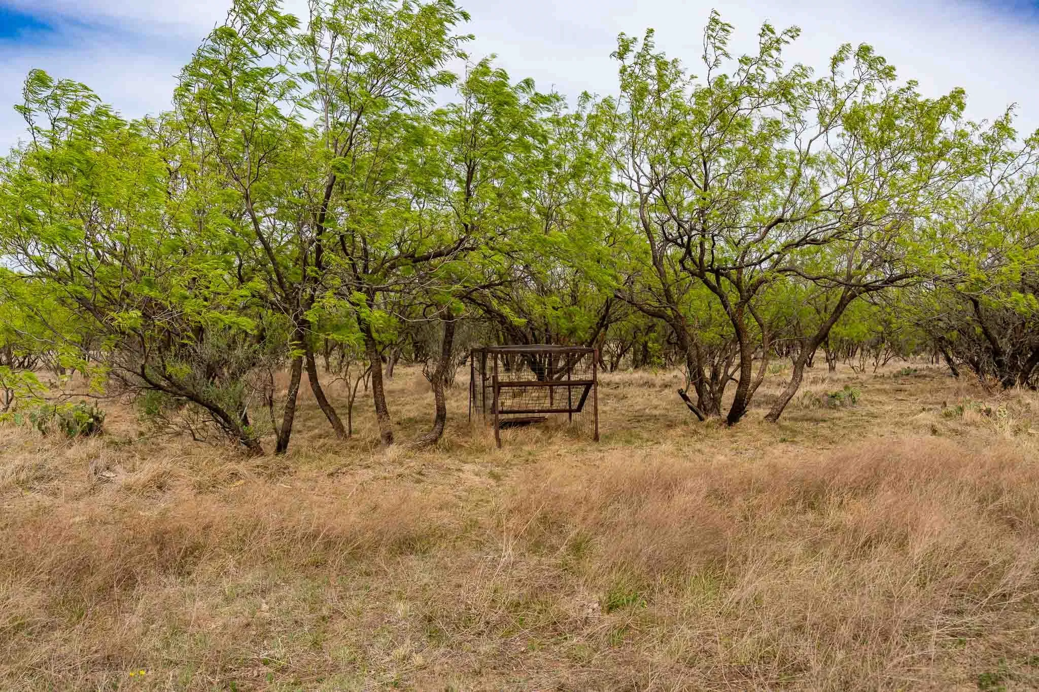 Unimproved Land For Sale in Haskell County , TBD Rockdale Road, No City, Texas 79533, 0, 0, Garage spaces, 0 Sqft, built in 2018, Price $2,745,000, mls#21233092, Real Estate Agent in No City, Homes For Sale in Haskell county, Homes For Sale in No City, Realtor in No City Texas, Real Estate Brokerage Independent Realty Texas, Luminita Cordes Realtor