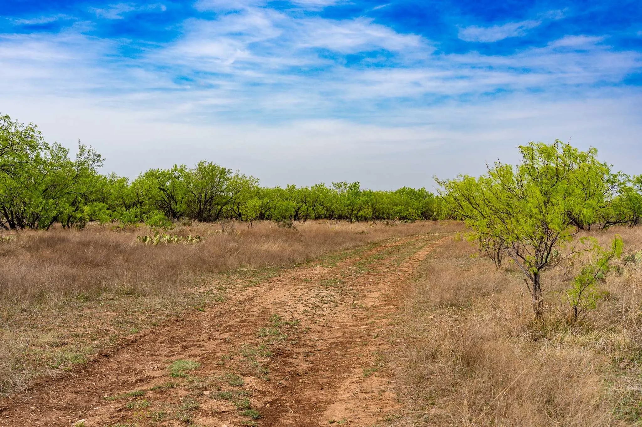 Unimproved Land For Sale in Haskell County , TBD Rockdale Road, No City, Texas 79533, 0, 0, Garage spaces, 0 Sqft, built in 2018, Price $2,745,000, mls#21233092, Real Estate Agent in No City, Homes For Sale in Haskell county, Homes For Sale in No City, Realtor in No City Texas, Real Estate Brokerage Independent Realty Texas, Luminita Cordes Realtor