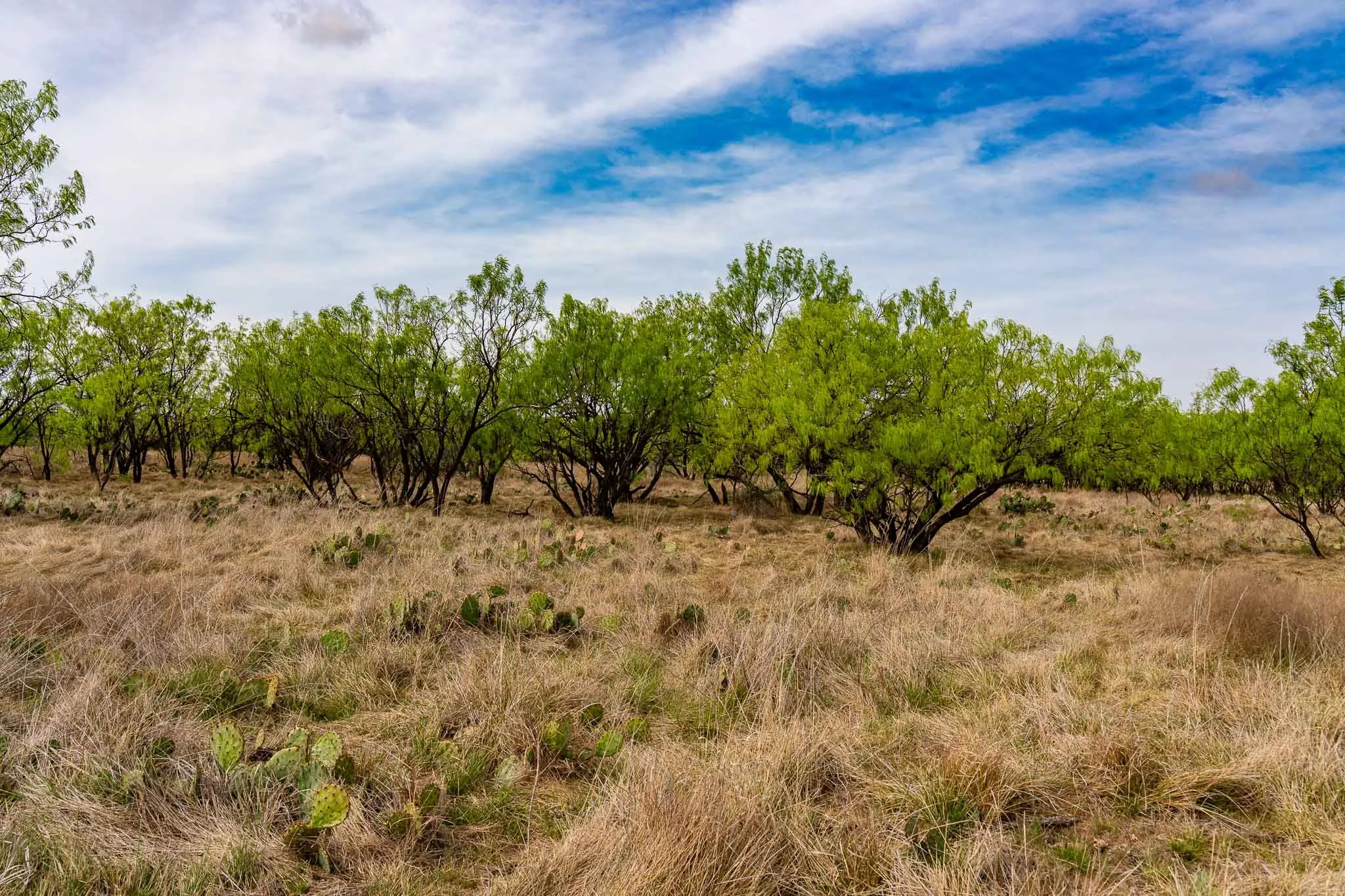 Unimproved Land For Sale in Haskell County , TBD Rockdale Road, No City, Texas 79533, 0, 0, Garage spaces, 0 Sqft, built in 2018, Price $2,745,000, mls#21233092, Real Estate Agent in No City, Homes For Sale in Haskell county, Homes For Sale in No City, Realtor in No City Texas, Real Estate Brokerage Independent Realty Texas, Luminita Cordes Realtor