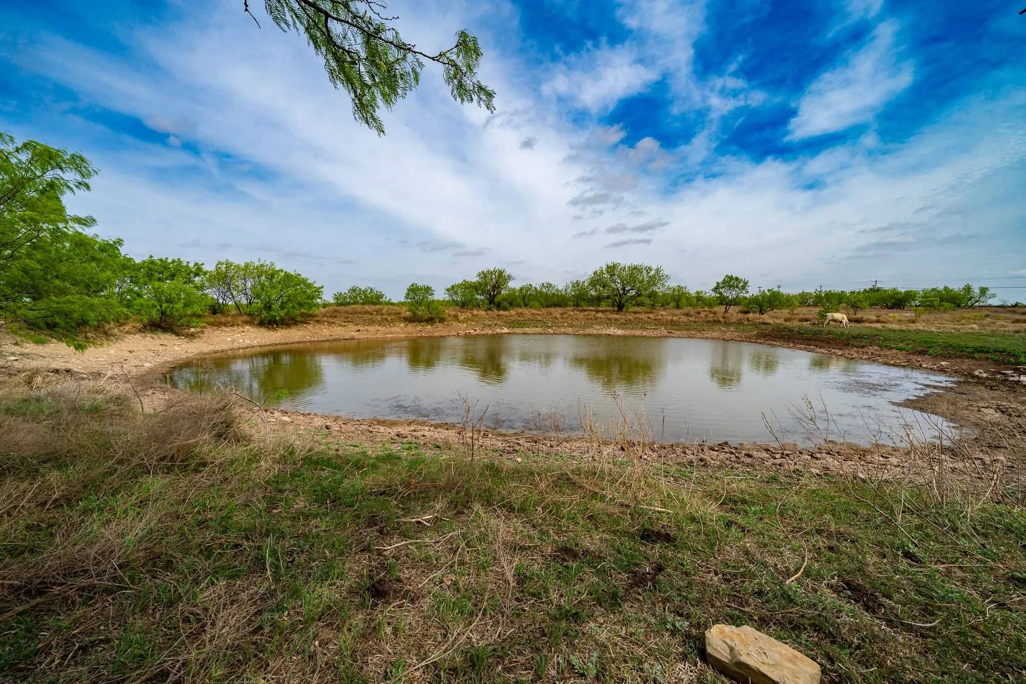 Unimproved Land For Sale in Haskell County , TBD Rockdale Road, No City, Texas 79533, 0, 0, Garage spaces, 0 Sqft, built in 2018, Price $2,745,000, mls#21233092, Real Estate Agent in No City, Homes For Sale in Haskell county, Homes For Sale in No City, Realtor in No City Texas, Real Estate Brokerage Independent Realty Texas, Luminita Cordes Realtor