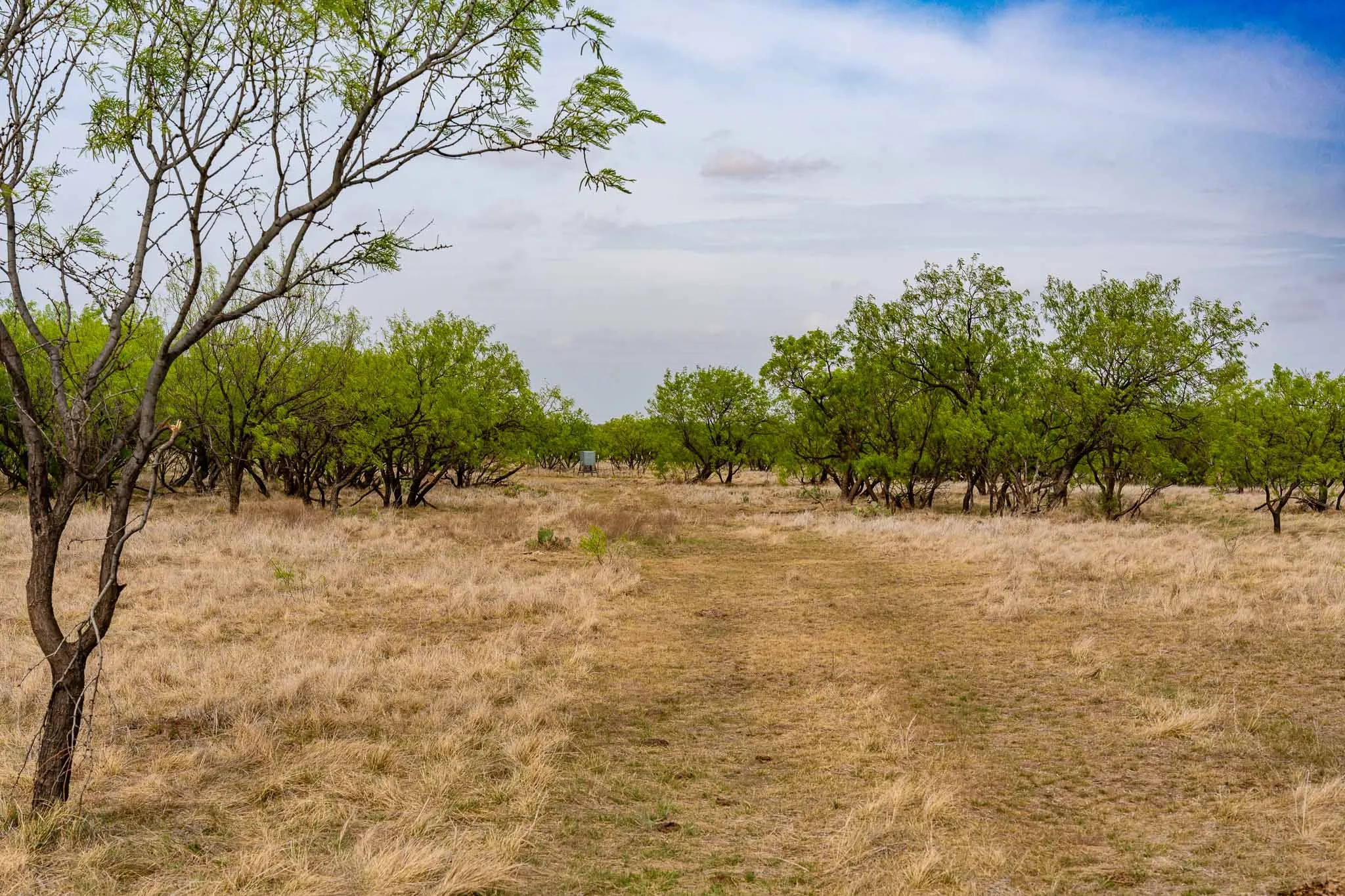 Unimproved Land For Sale in Haskell County , TBD Rockdale Road, No City, Texas 79533, 0, 0, Garage spaces, 0 Sqft, built in 2018, Price $2,745,000, mls#21233092, Real Estate Agent in No City, Homes For Sale in Haskell county, Homes For Sale in No City, Realtor in No City Texas, Real Estate Brokerage Independent Realty Texas, Luminita Cordes Realtor