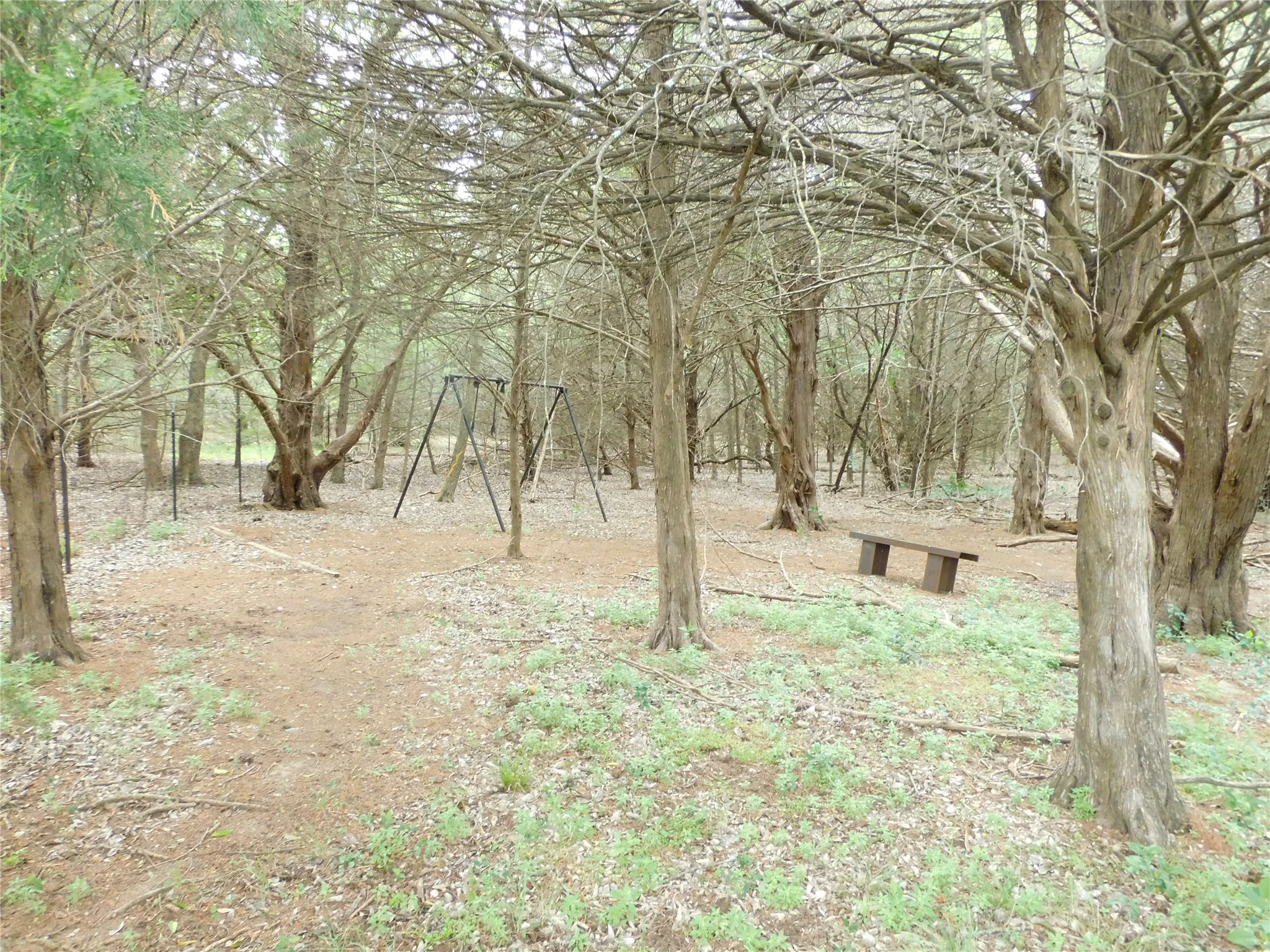 parklike area behind house