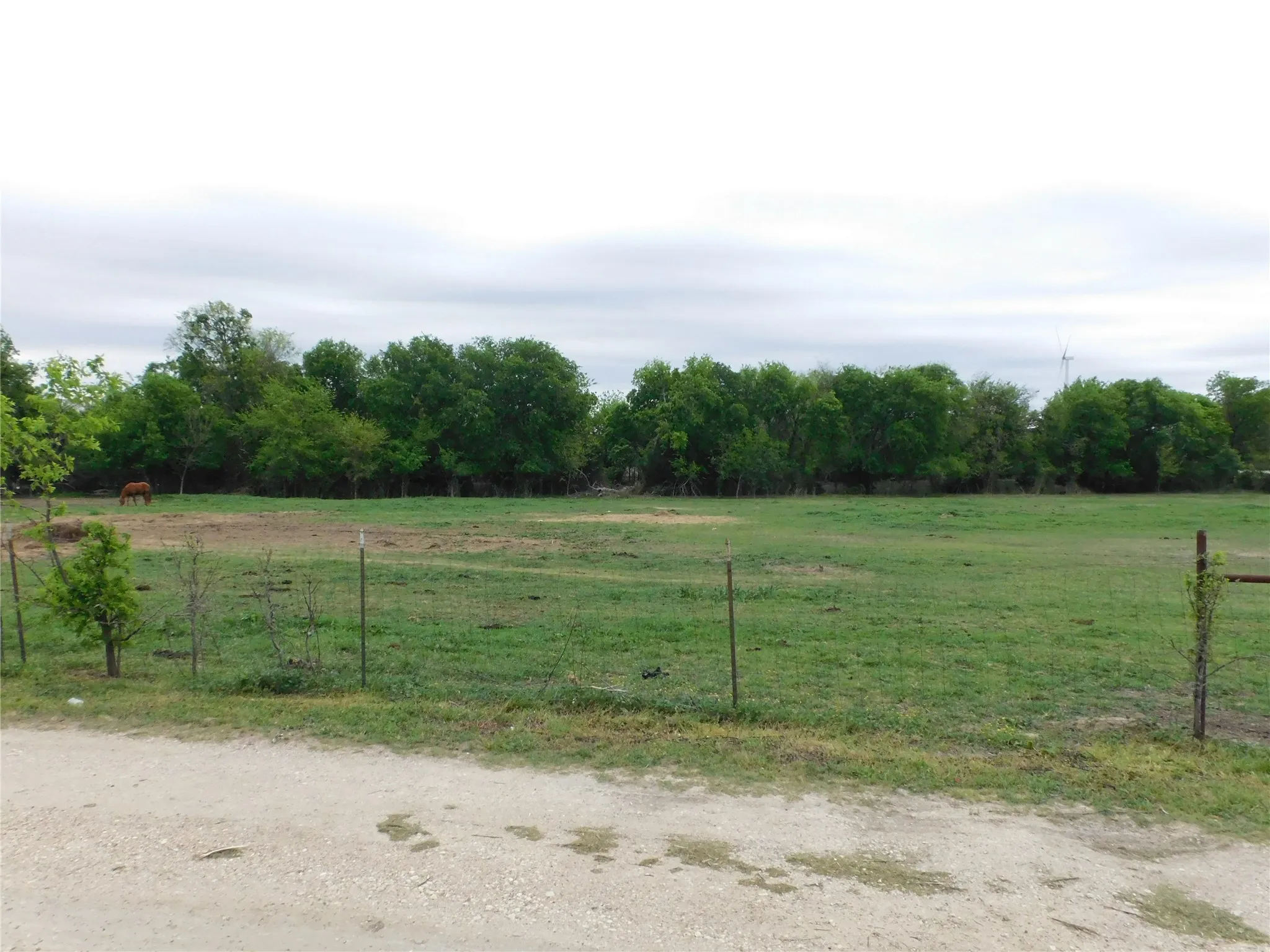 pasture