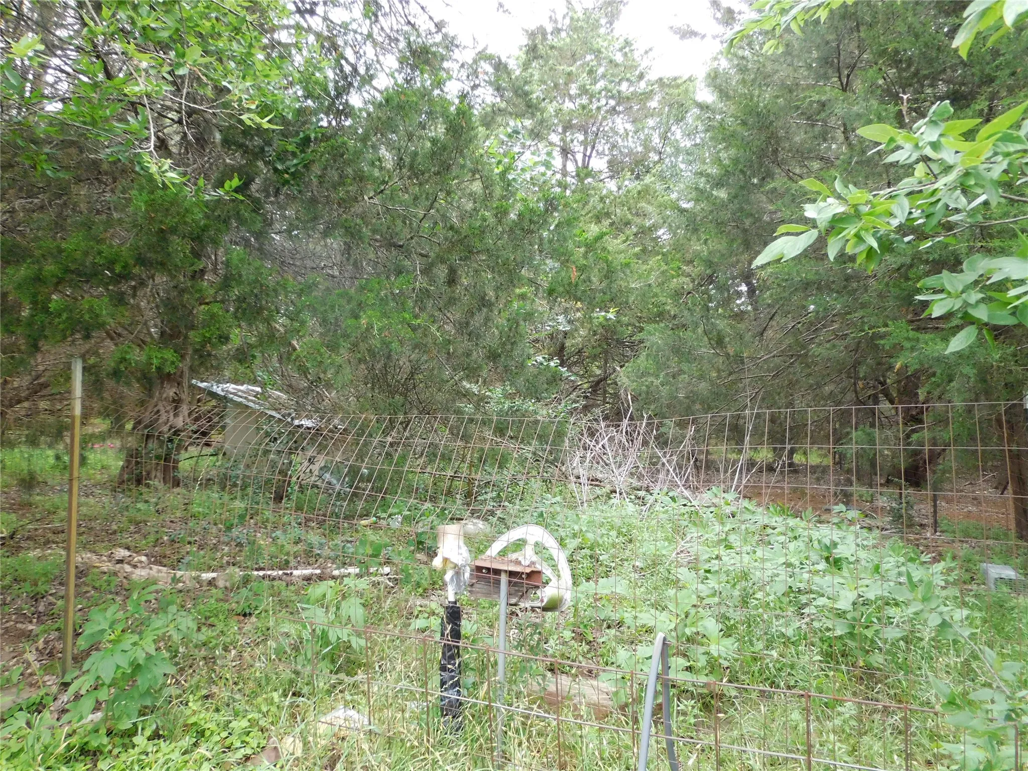 dog kennel