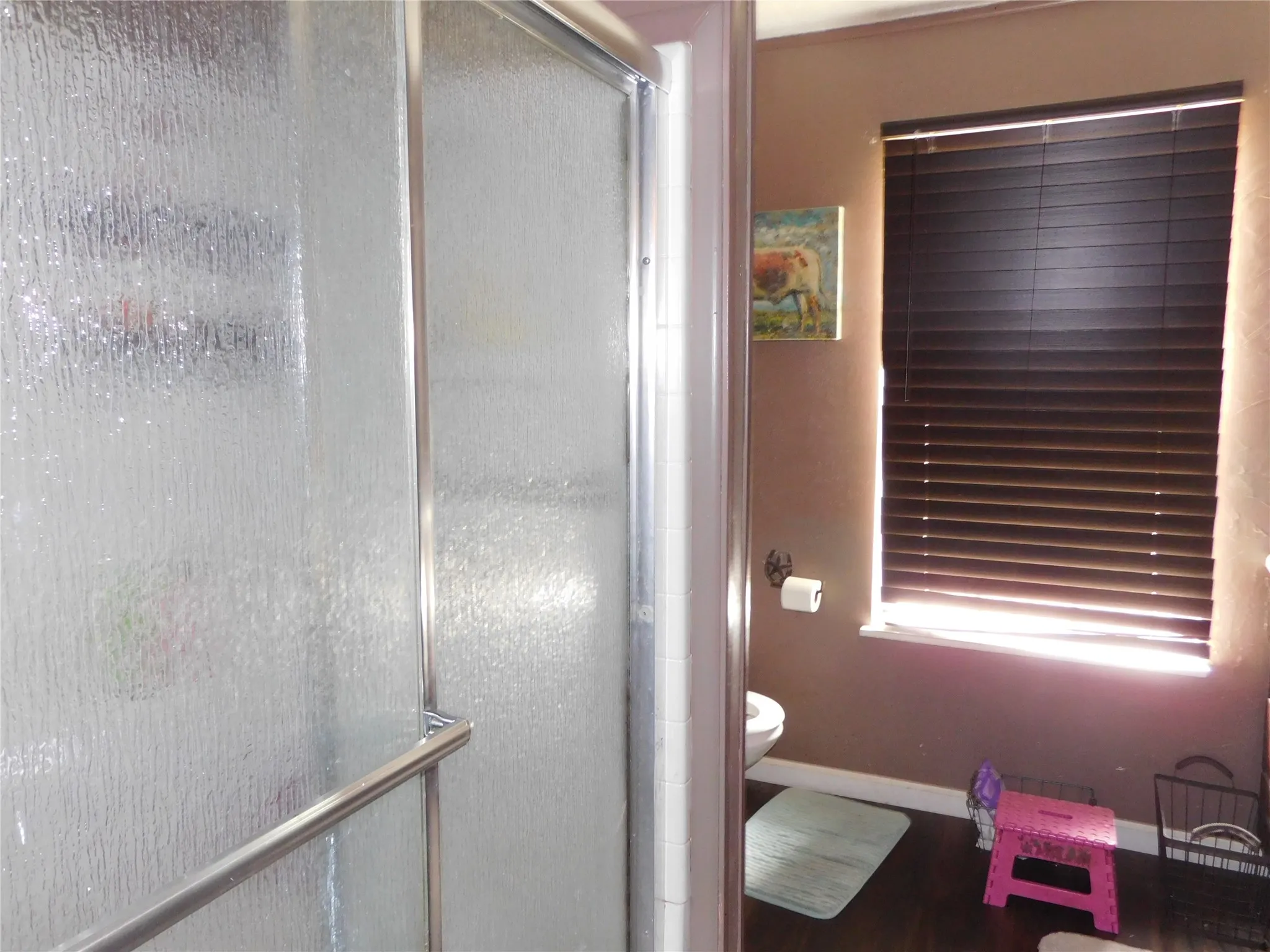 primary bath step in shower