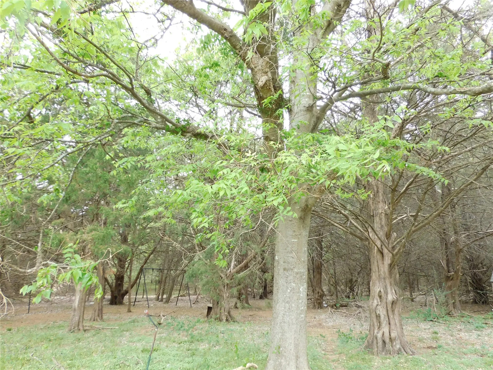 Farm For Sale in Hill County , 1032 Fm 936, Hubbard, Texas 76648, 3 Bedroom, 2 Bathroom, 2 Garage spaces, 1,940 Sqft, built in 1999, Preowned, mls#21233219, Real Estate Agent in Hubbard, Homes For Sale in Hill county, Homes For Sale in Hubbard, Realtor in Hubbard Texas, Real Estate Brokerage Independent Realty Texas, Luminita Cordes Realtor