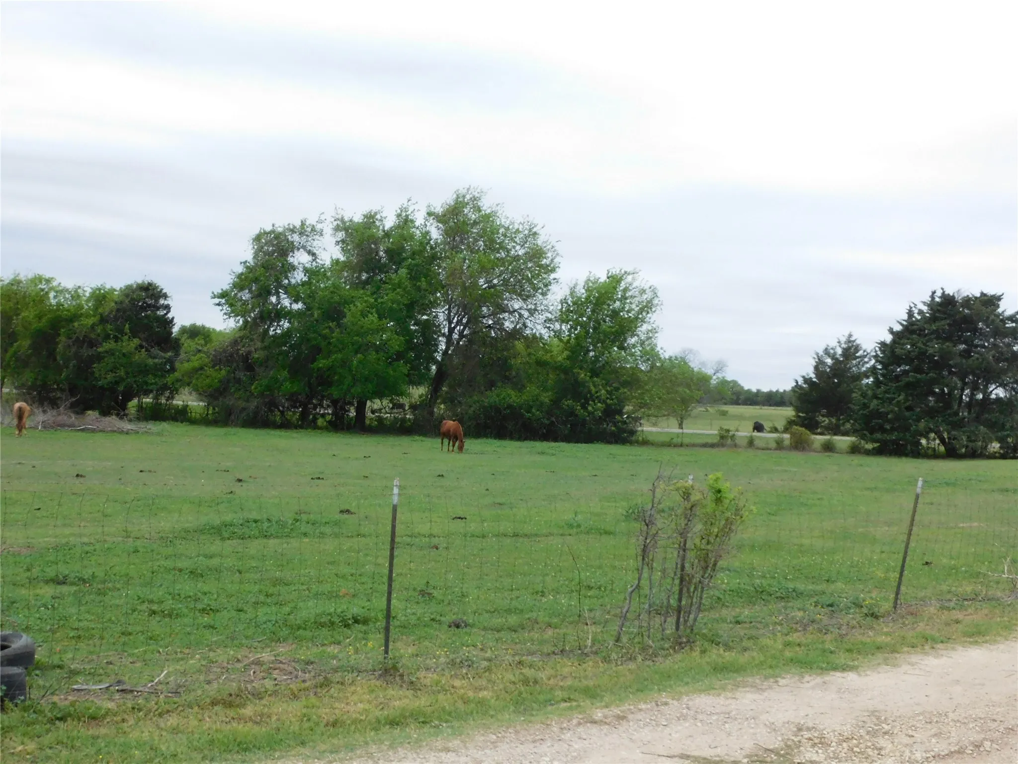 fenced pasture