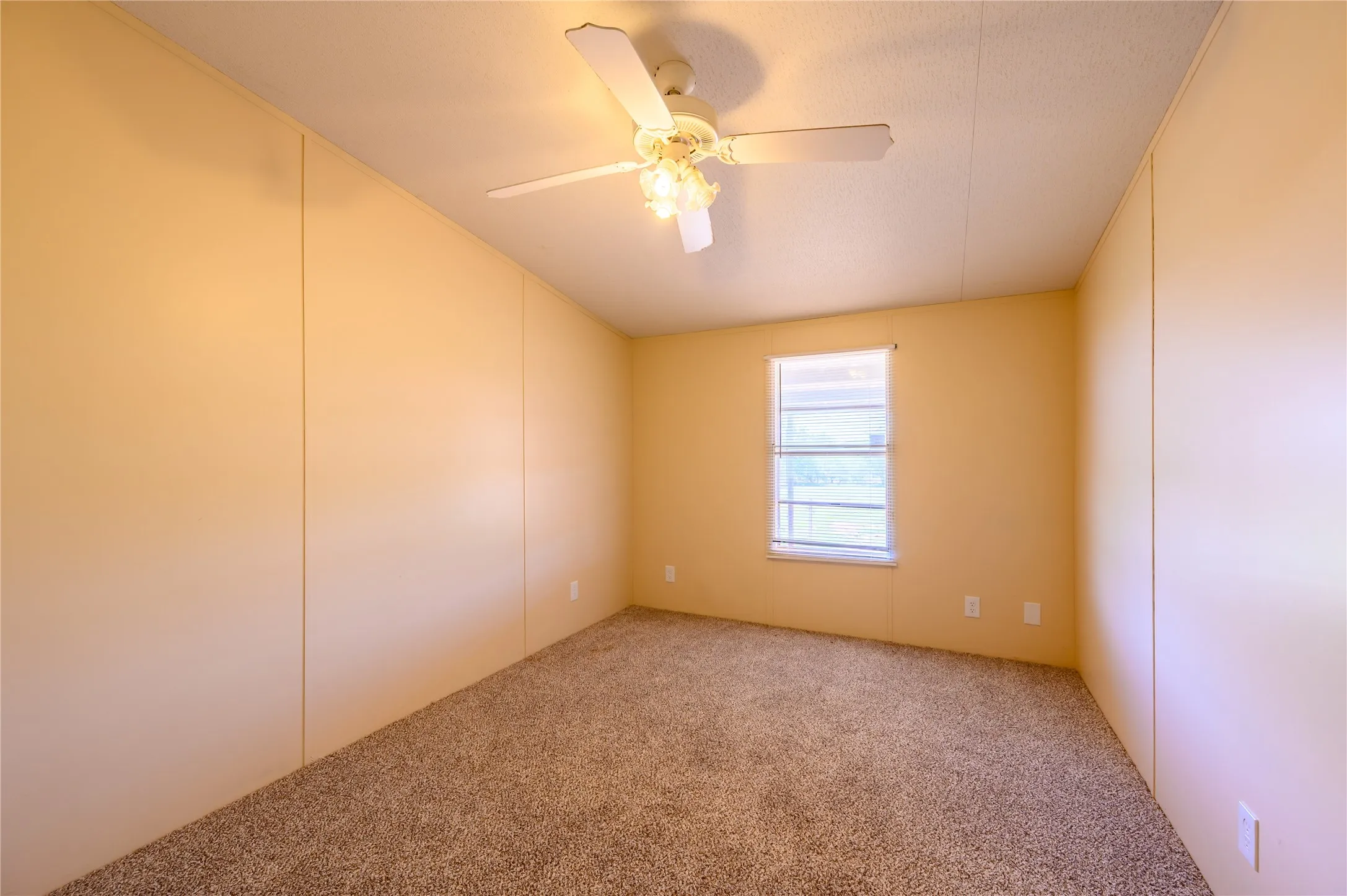 Spare room with carpet floors, ceiling fan, and a decorative wall