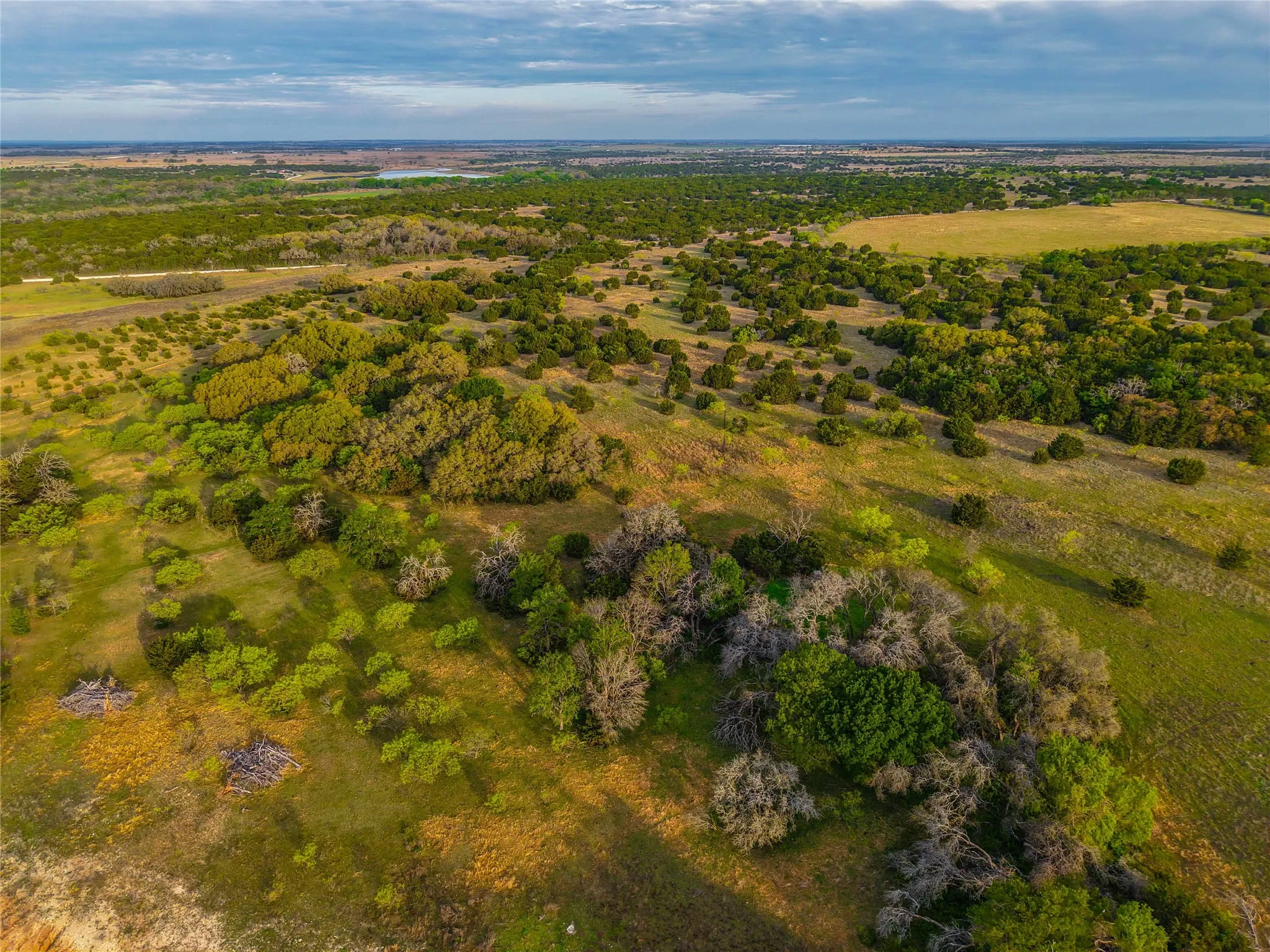 Unimproved Land For Sale in Coryell County , 3601 County Road 188, Jonesboro, Texas 76538, 0, 0, Garage spaces, 0 Sqft, built in 1960, mls#21231900, Real Estate Agent in Jonesboro, Homes For Sale in Coryell county, Homes For Sale in Jonesboro, Realtor in Jonesboro Texas, Real Estate Brokerage Independent Realty Texas, Luminita Cordes Realtor