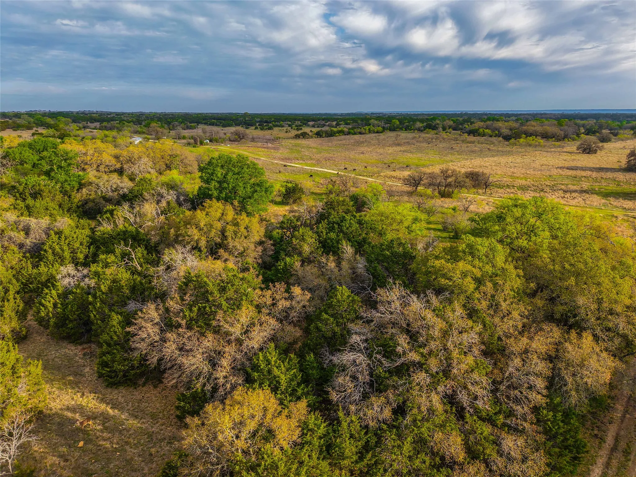 Unimproved Land For Sale in Coryell County , 3601 County Road 188, Jonesboro, Texas 76538, 0, 0, Garage spaces, 0 Sqft, built in 1960, mls#21231900, Real Estate Agent in Jonesboro, Homes For Sale in Coryell county, Homes For Sale in Jonesboro, Realtor in Jonesboro Texas, Real Estate Brokerage Independent Realty Texas, Luminita Cordes Realtor