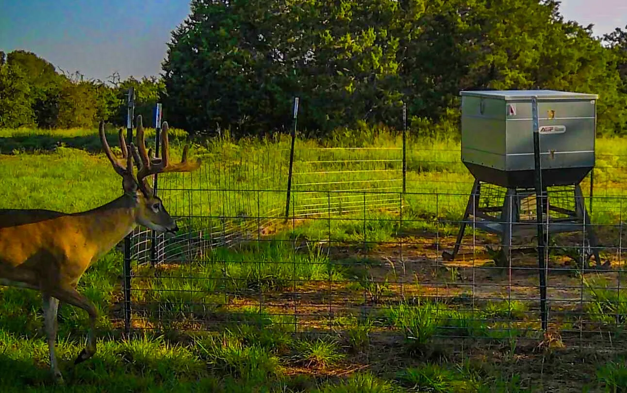 Unimproved Land For Sale in Coryell County , 3601 County Road 188, Jonesboro, Texas 76538, 0, 0, Garage spaces, 0 Sqft, built in 1960, mls#21231900, Real Estate Agent in Jonesboro, Homes For Sale in Coryell county, Homes For Sale in Jonesboro, Realtor in Jonesboro Texas, Real Estate Brokerage Independent Realty Texas, Luminita Cordes Realtor