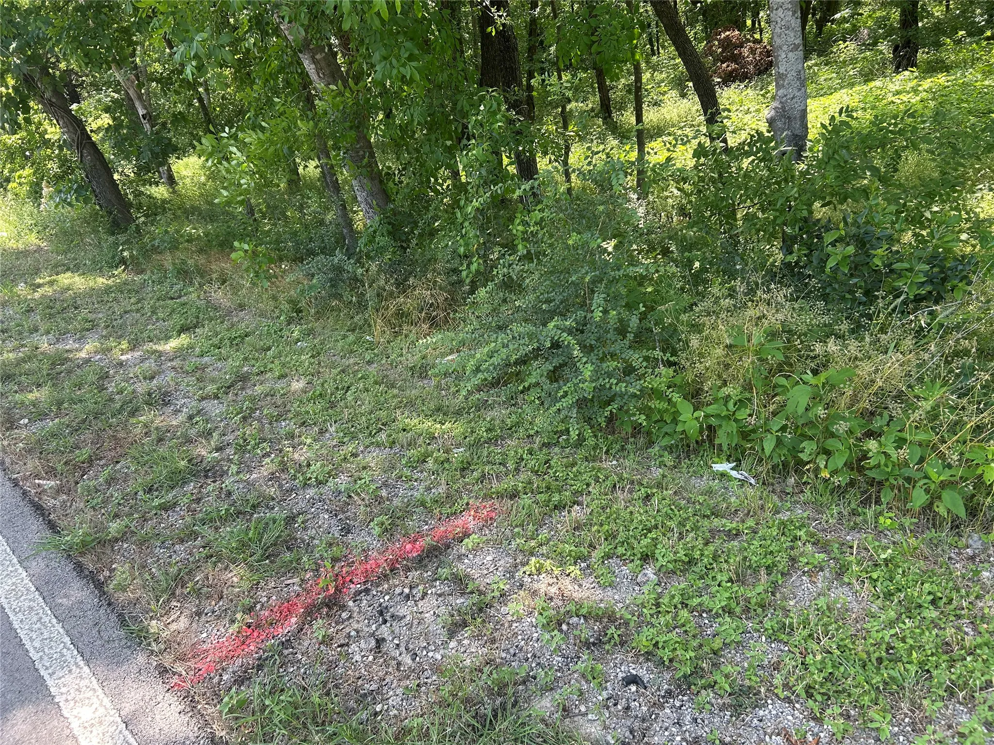 View of undeveloped land