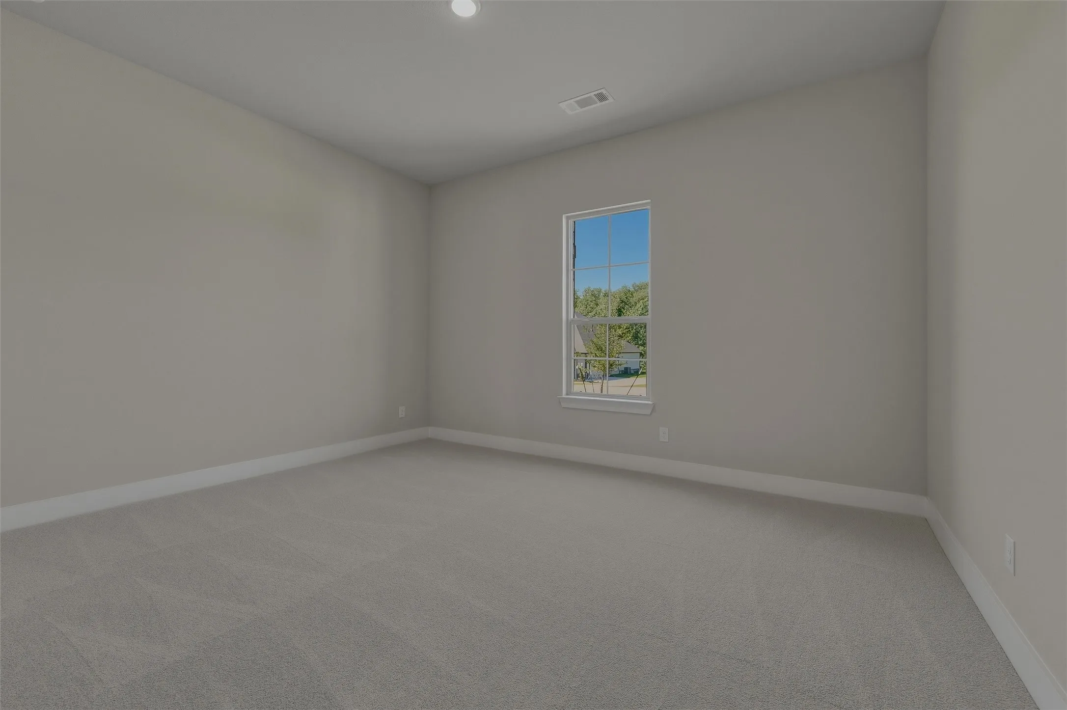 Spacious room featuring light gray walls, plush gray carpeting, white baseboards, and a double-hung window