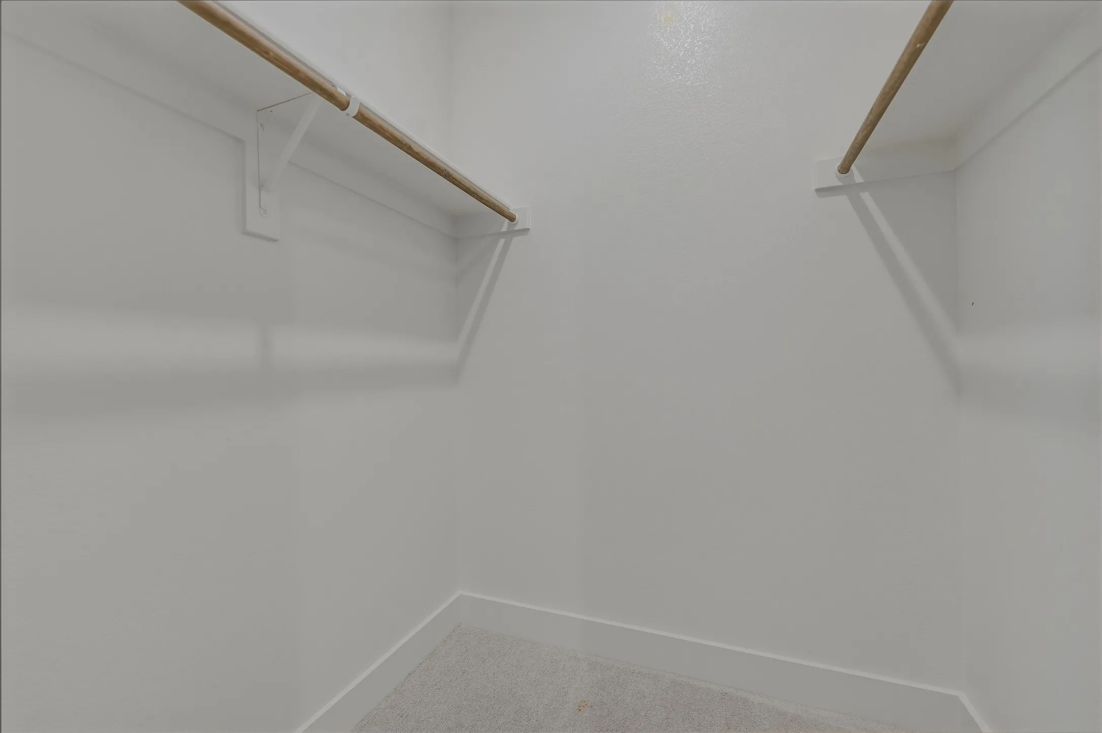 Walk-in closet featuring white painted walls, wood-finish hanging rods, and light-toned carpet flooring