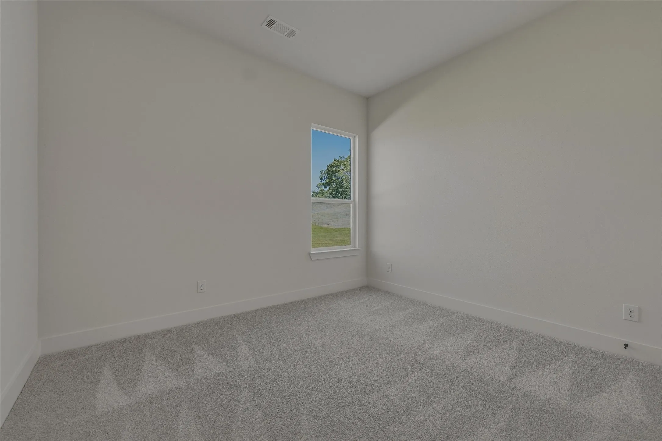 Neutral tone paint palette with plush grey carpeting