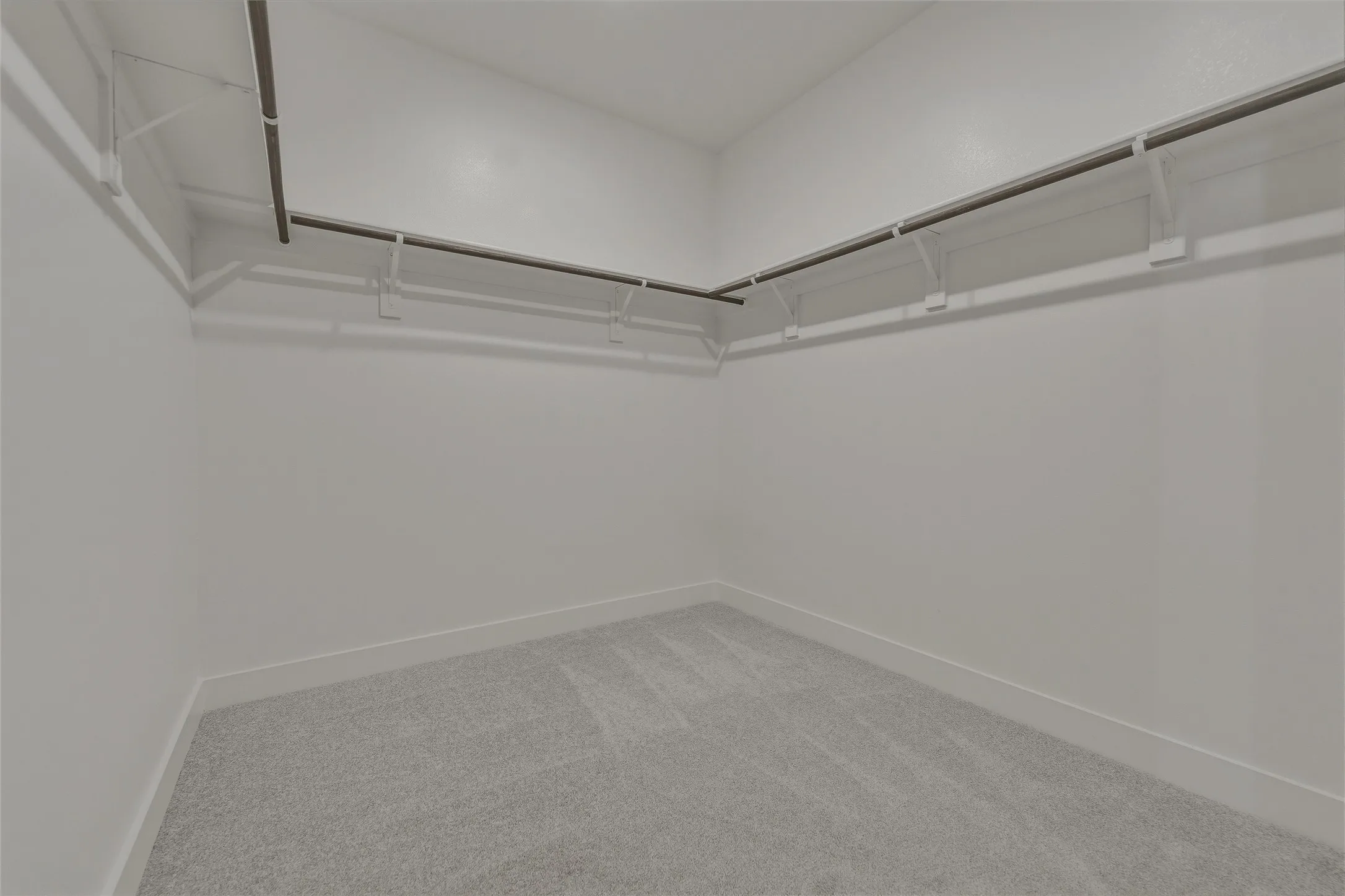 Spacious walk-in closet featuring light gray carpeting, crisp white walls, and built-in white shelving with hanging rods