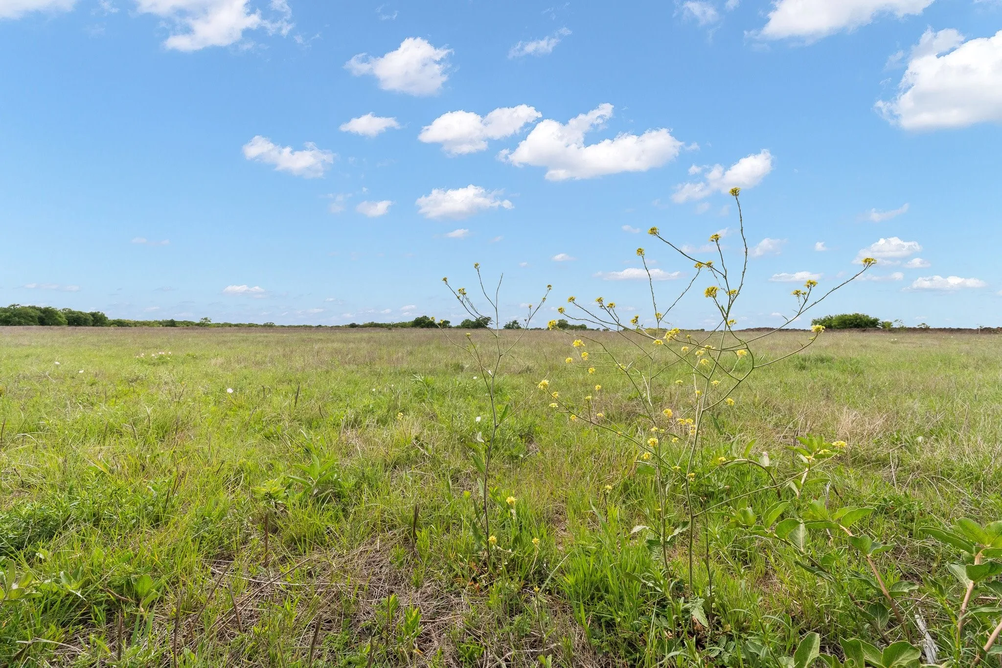 Farm For Sale in Johnson County , 6265 County Road 305, Grandview, Texas 76050, 3 Bedroom, 2 Bathroom, 2 Garage spaces, 2,636 Sqft, built in 1984, mls#21233327, Real Estate Agent in Grandview, Homes For Sale in Johnson county, Homes For Sale in Grandview, Realtor in Grandview Texas, Real Estate Brokerage Independent Realty Texas, Luminita Cordes Realtor