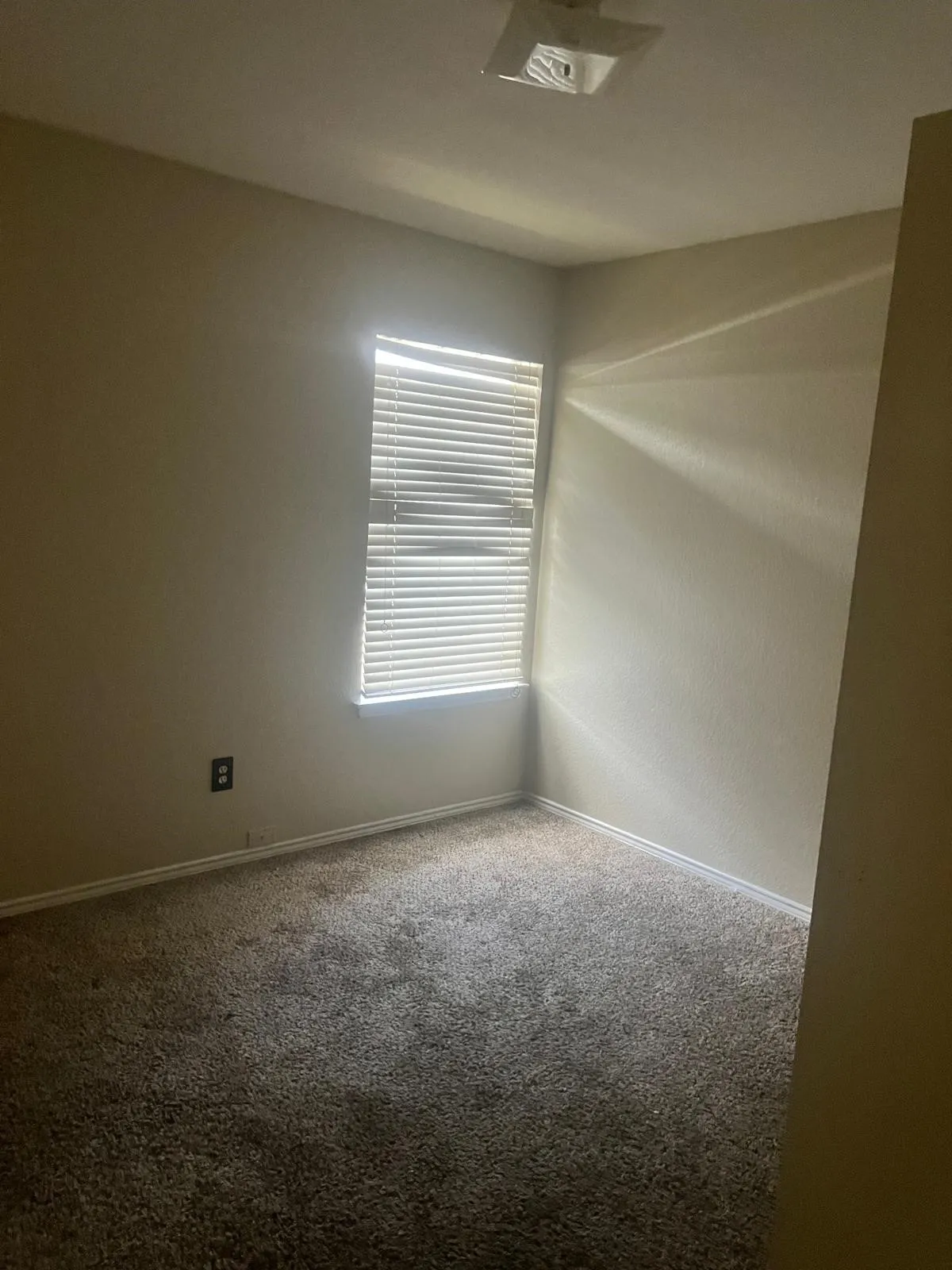 Carpeted room featuring a window with horizontal blinds and a ceiling-mounted light fixture