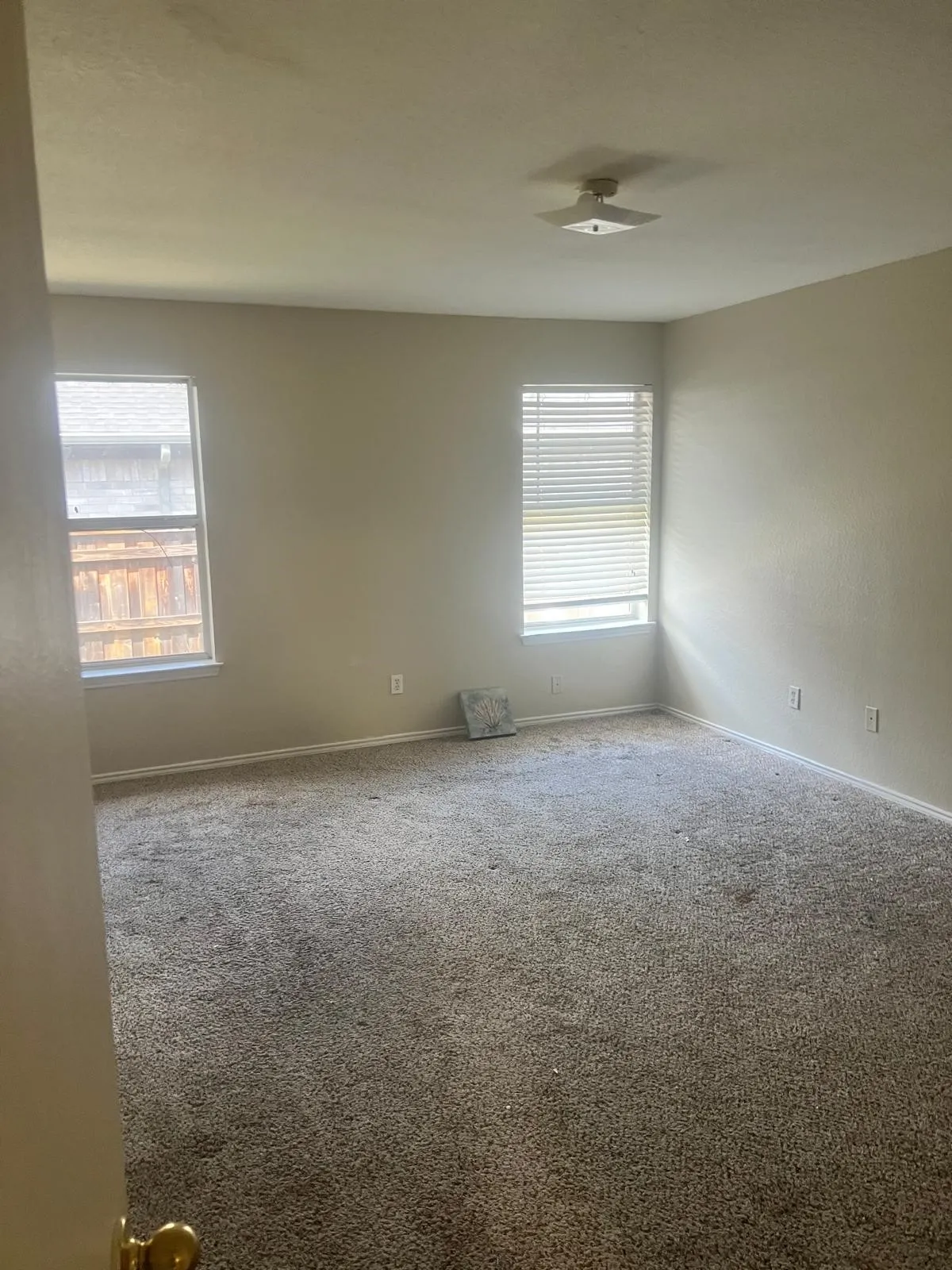 Expansive room featuring two large windows with horizontal blinds, neutral-toned walls, a flush-mount ceiling light fixture, and plush carpet flooring
