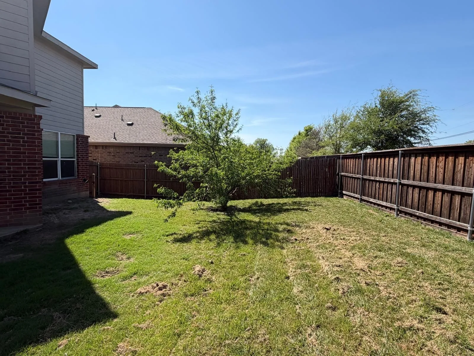 View of fenced backyard