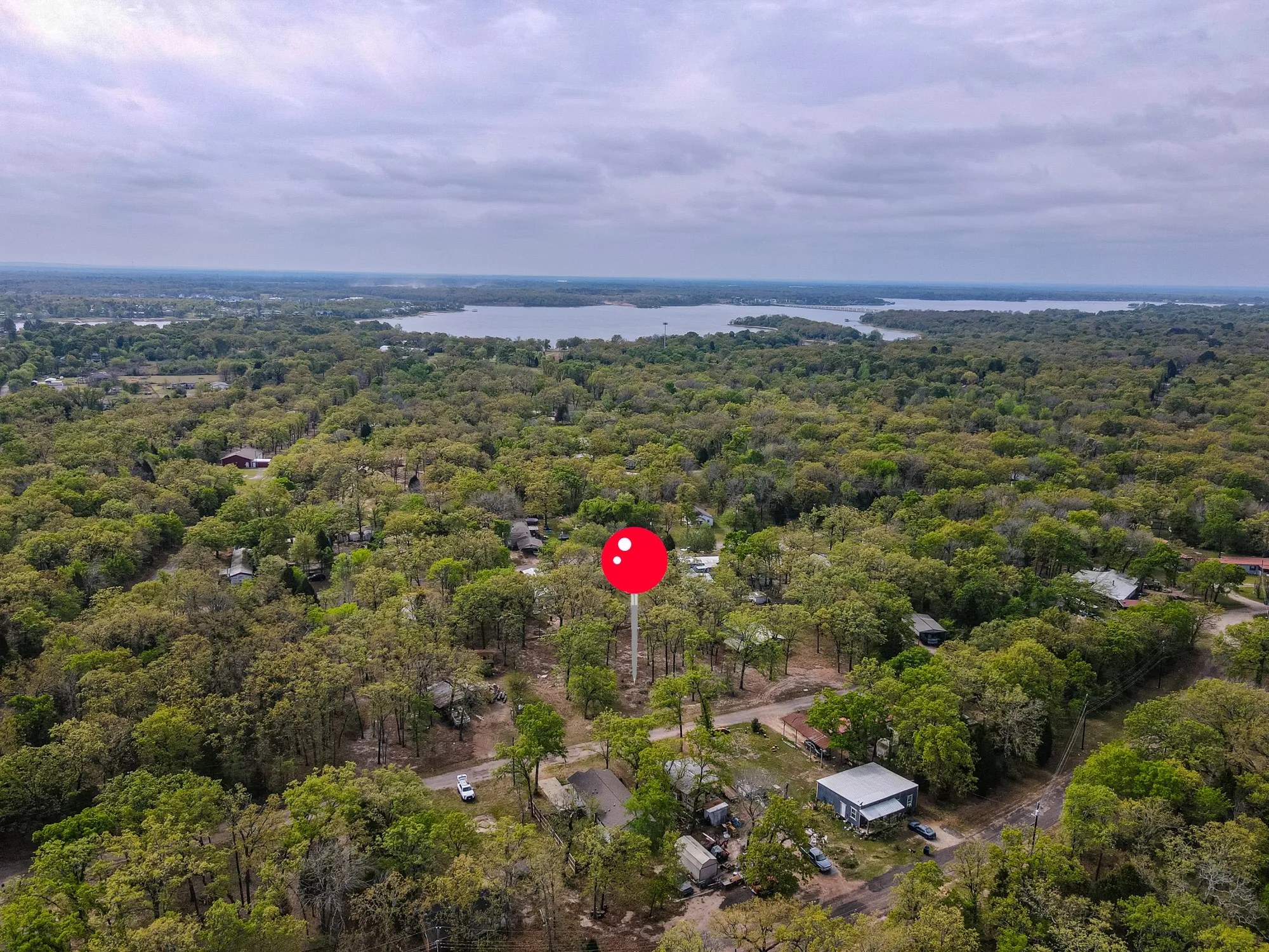 Aerial view of a forest and a large body of water
