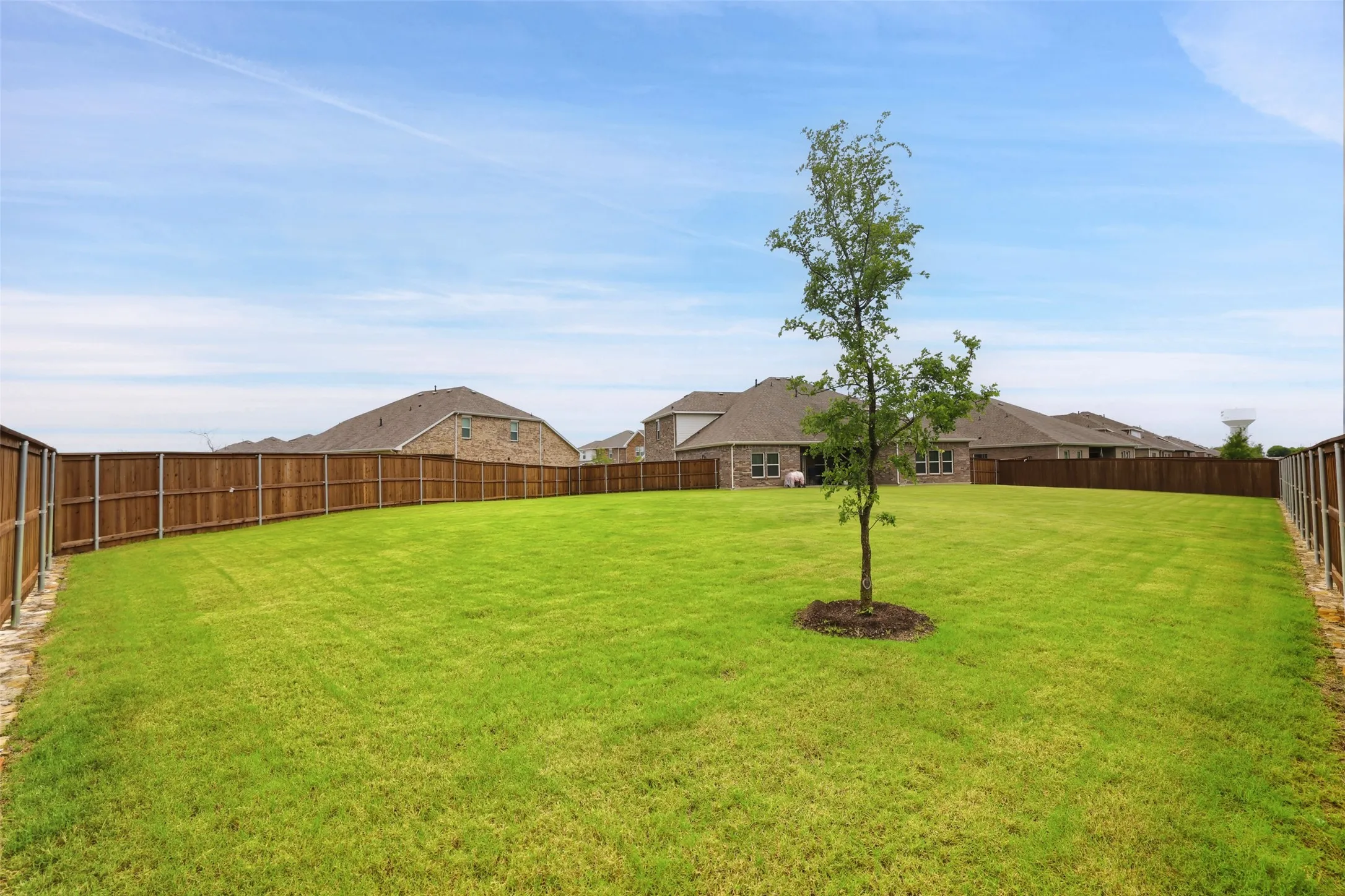 Expansive backyard featuring a manicured lawn, established privacy fencing, and a newly planted tree
