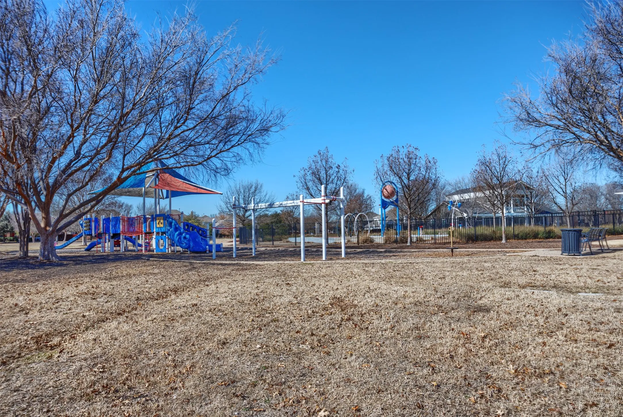 Large open areas to run and play!