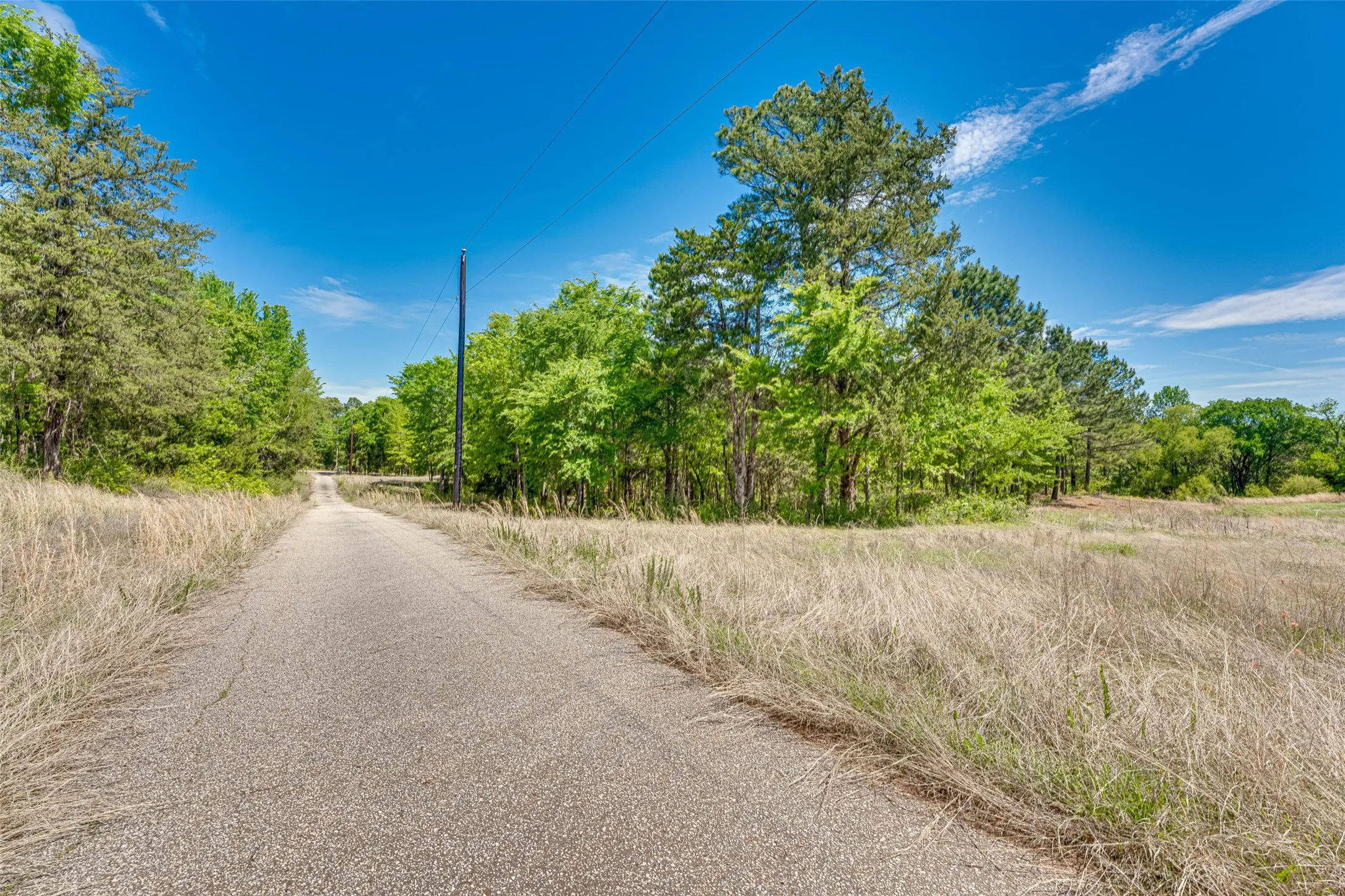 Unimproved Land For Sale in Smith County , 11088 County Road 334, Tyler, Texas 75708, 0, 0, Garage spaces, 0 Sqft, built in 0, mls#21225292, Real Estate Agent in Tyler, Homes For Sale in Smith county, Homes For Sale in Tyler, Realtor in Tyler Texas, Real Estate Brokerage Independent Realty Texas, Luminita Cordes Realtor