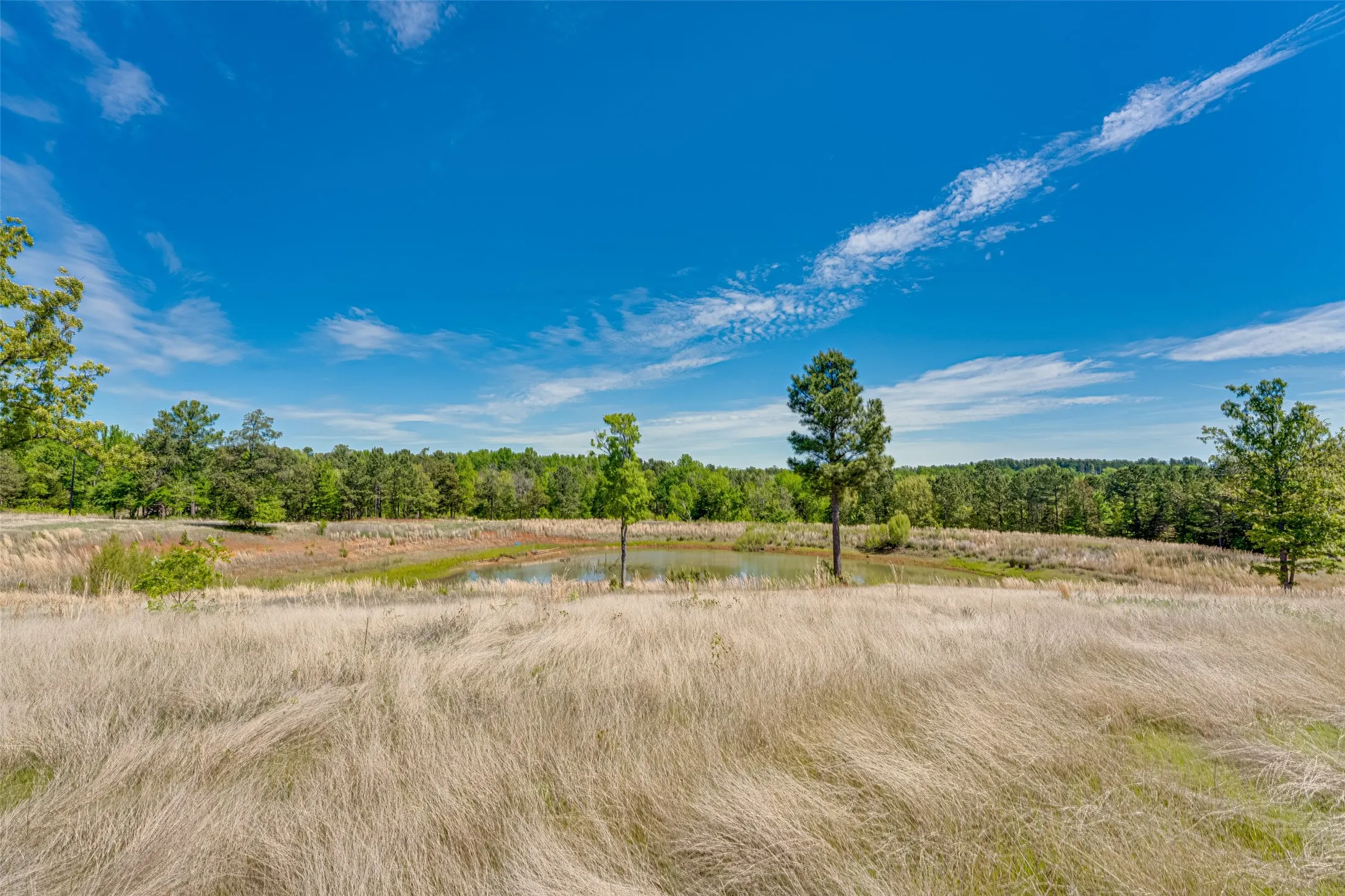 Unimproved Land For Sale in Smith County , 11088 County Road 334, Tyler, Texas 75708, 0, 0, Garage spaces, 0 Sqft, built in 0, mls#21225292, Real Estate Agent in Tyler, Homes For Sale in Smith county, Homes For Sale in Tyler, Realtor in Tyler Texas, Real Estate Brokerage Independent Realty Texas, Luminita Cordes Realtor