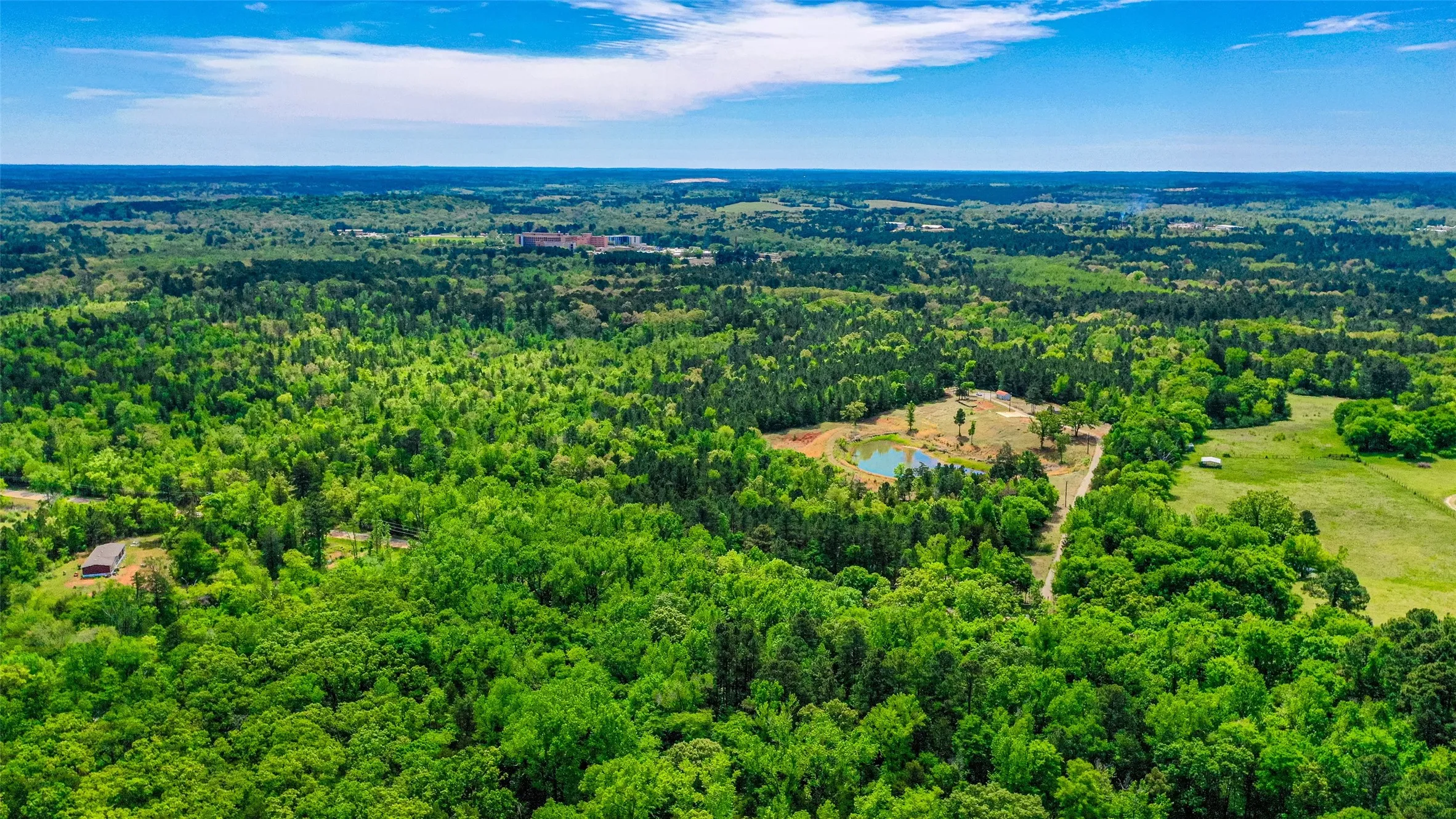 Unimproved Land For Sale in Smith County , 11088 County Road 334, Tyler, Texas 75708, 0, 0, Garage spaces, 0 Sqft, built in 0, mls#21225292, Real Estate Agent in Tyler, Homes For Sale in Smith county, Homes For Sale in Tyler, Realtor in Tyler Texas, Real Estate Brokerage Independent Realty Texas, Luminita Cordes Realtor