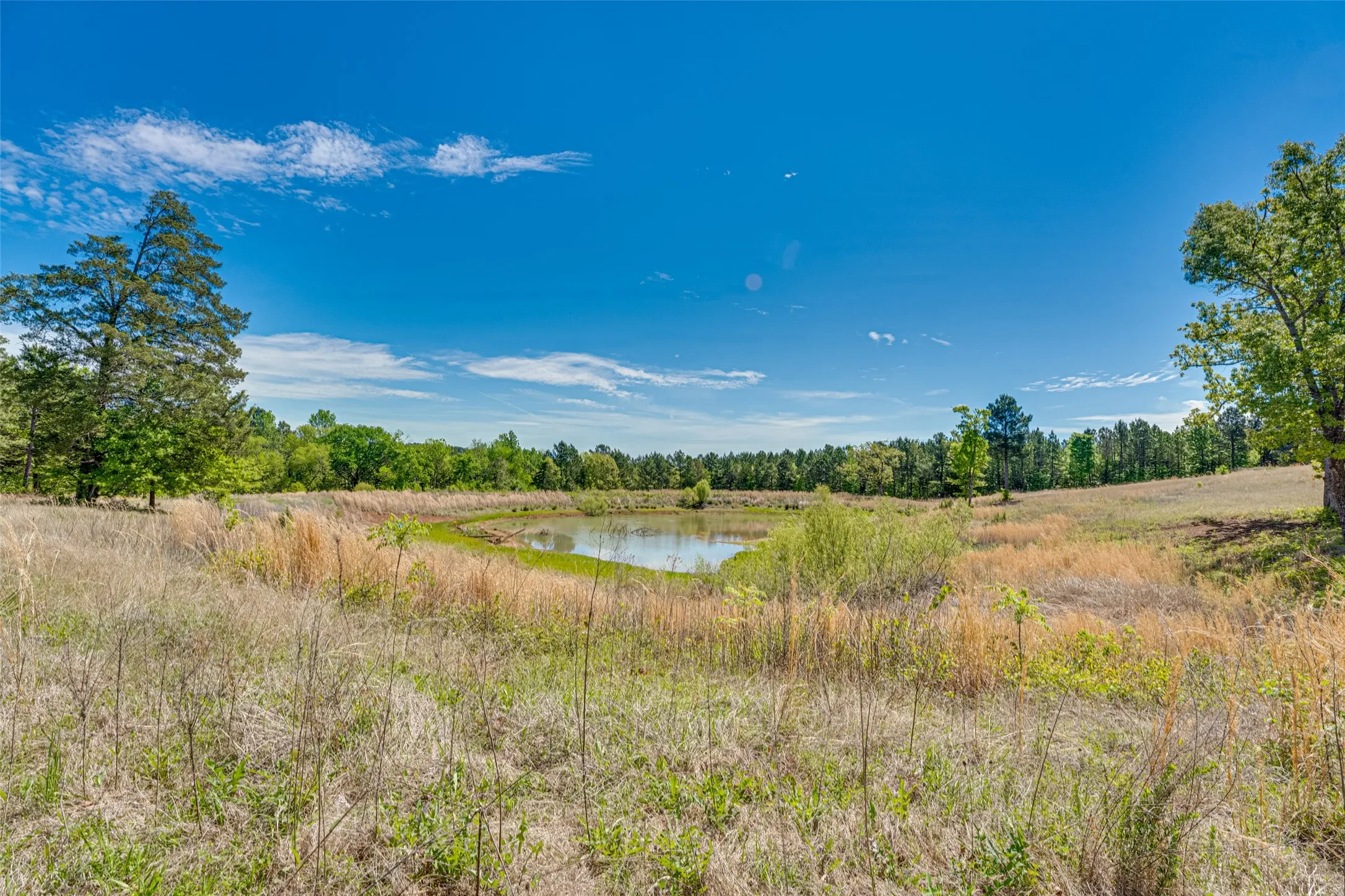 Unimproved Land For Sale in Smith County , 11088 County Road 334, Tyler, Texas 75708, 0, 0, Garage spaces, 0 Sqft, built in 0, mls#21225292, Real Estate Agent in Tyler, Homes For Sale in Smith county, Homes For Sale in Tyler, Realtor in Tyler Texas, Real Estate Brokerage Independent Realty Texas, Luminita Cordes Realtor