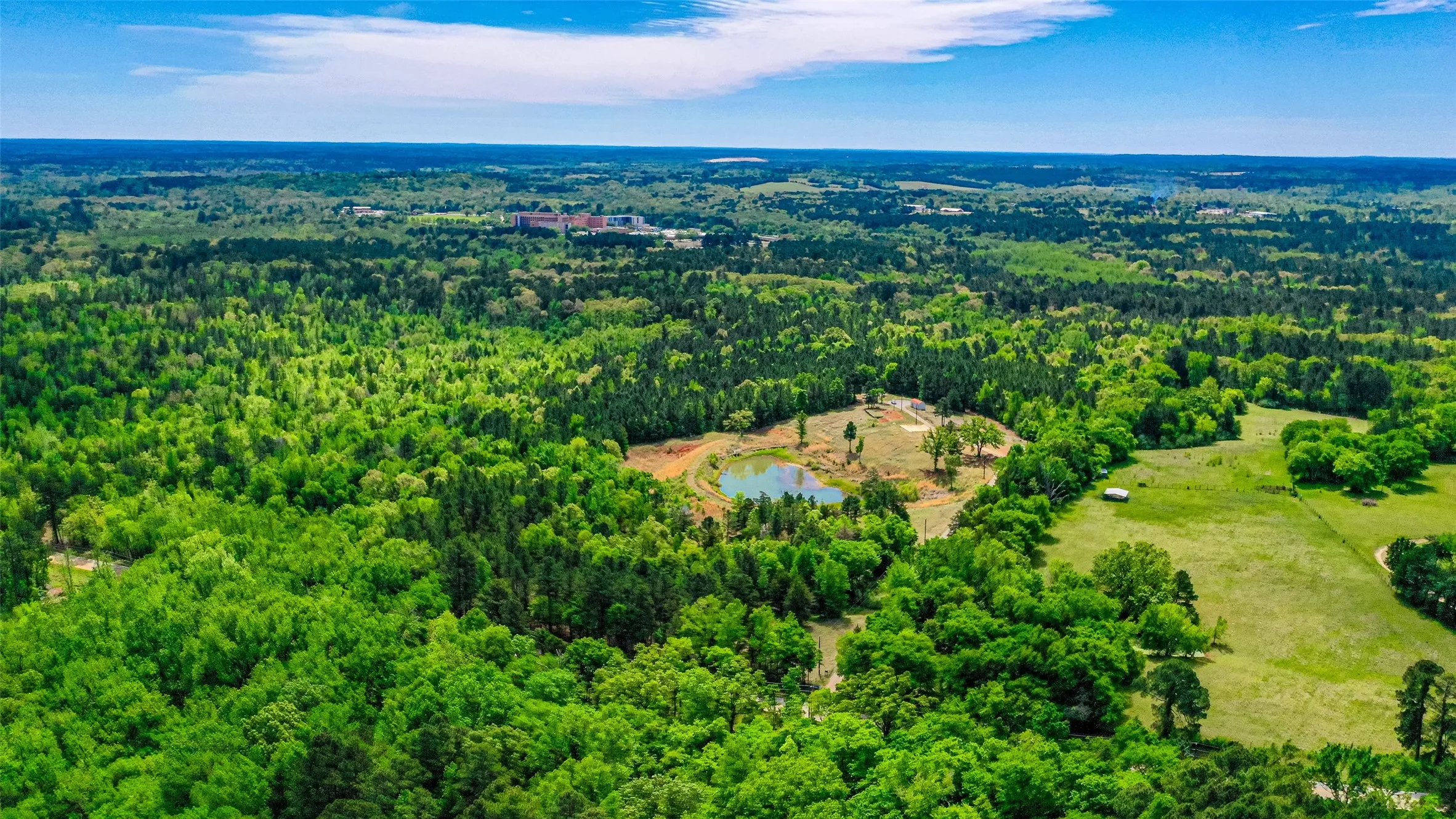 Unimproved Land For Sale in Smith County , 11088 County Road 334, Tyler, Texas 75708, 0, 0, Garage spaces, 0 Sqft, built in 0, mls#21225292, Real Estate Agent in Tyler, Homes For Sale in Smith county, Homes For Sale in Tyler, Realtor in Tyler Texas, Real Estate Brokerage Independent Realty Texas, Luminita Cordes Realtor