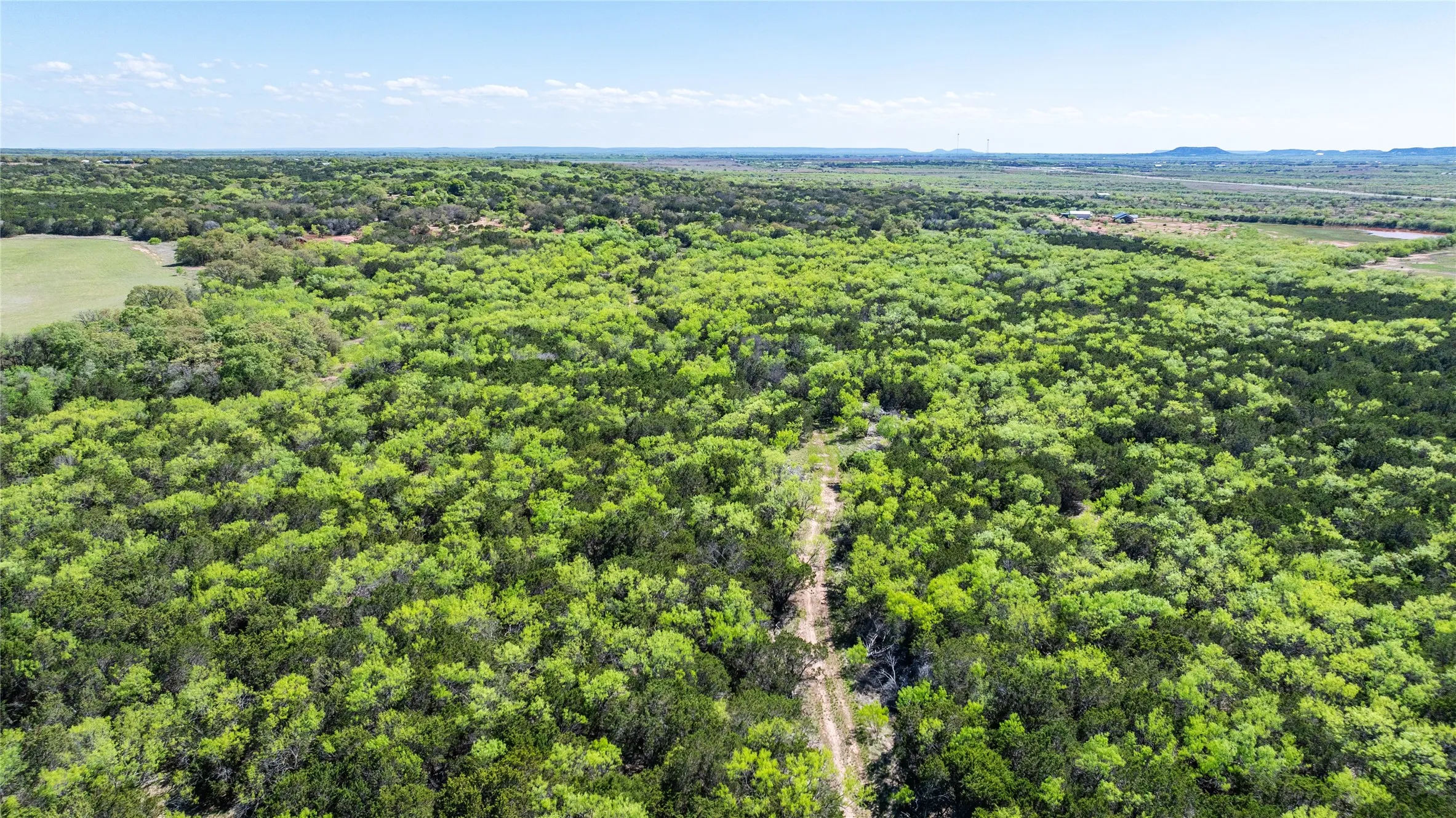 Unimproved Land For Sale in Taylor County , TBD County Road 150, Tuscola, Texas 79562, 0, 0, Garage spaces, 0 Sqft, built in 0, Price $621,000, mls#21232121, Real Estate Agent in Tuscola, Homes For Sale in Taylor county, Homes For Sale in Tuscola, Realtor in Tuscola Texas, Real Estate Brokerage Independent Realty Texas, Luminita Cordes Realtor