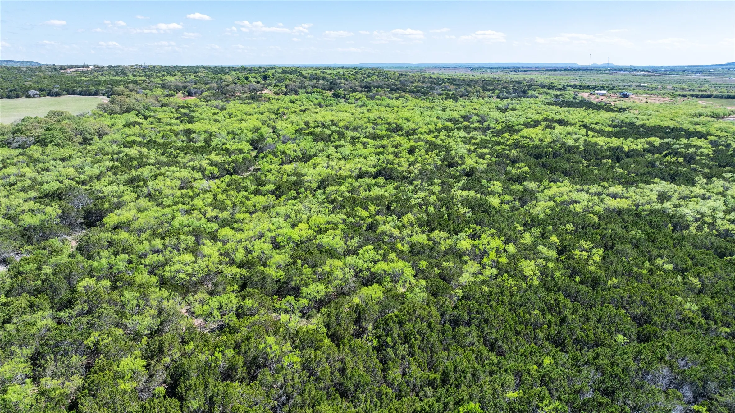 Unimproved Land For Sale in Taylor County , TBD County Road 150, Tuscola, Texas 79562, 0, 0, Garage spaces, 0 Sqft, built in 0, Price $621,000, mls#21232121, Real Estate Agent in Tuscola, Homes For Sale in Taylor county, Homes For Sale in Tuscola, Realtor in Tuscola Texas, Real Estate Brokerage Independent Realty Texas, Luminita Cordes Realtor