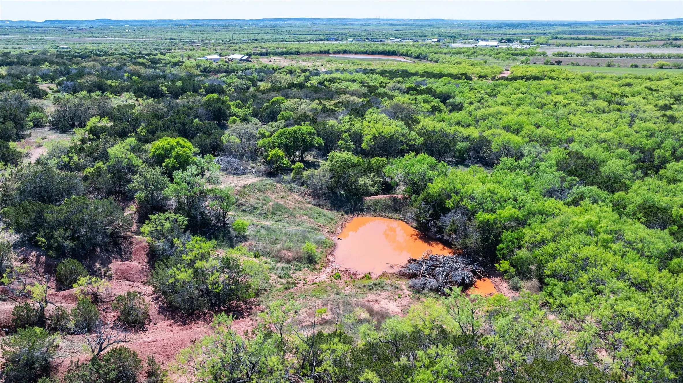 Unimproved Land For Sale in Taylor County , TBD County Road 150, Tuscola, Texas 79562, 0, 0, Garage spaces, 0 Sqft, built in 0, Price $621,000, mls#21232121, Real Estate Agent in Tuscola, Homes For Sale in Taylor county, Homes For Sale in Tuscola, Realtor in Tuscola Texas, Real Estate Brokerage Independent Realty Texas, Luminita Cordes Realtor