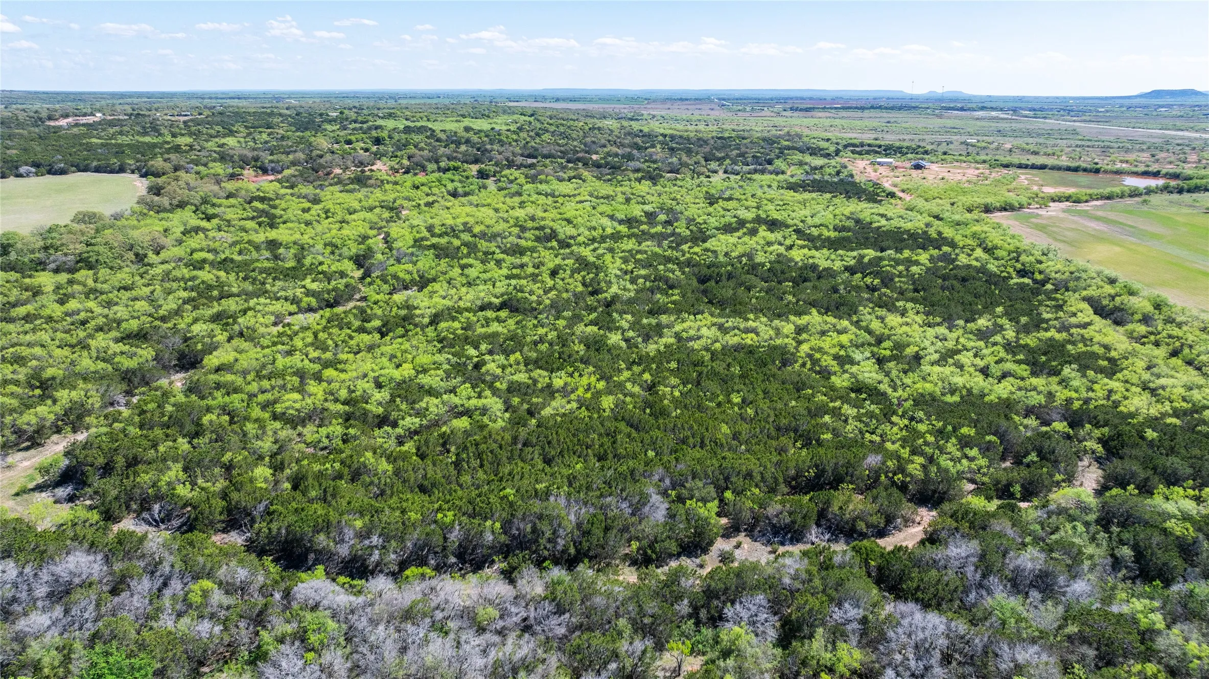 Unimproved Land For Sale in Taylor County , TBD County Road 150, Tuscola, Texas 79562, 0, 0, Garage spaces, 0 Sqft, built in 0, Price $621,000, mls#21232121, Real Estate Agent in Tuscola, Homes For Sale in Taylor county, Homes For Sale in Tuscola, Realtor in Tuscola Texas, Real Estate Brokerage Independent Realty Texas, Luminita Cordes Realtor